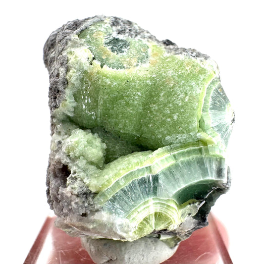 Wavellite (Arkansas, USA) | green crystal cluster, mineral specimen