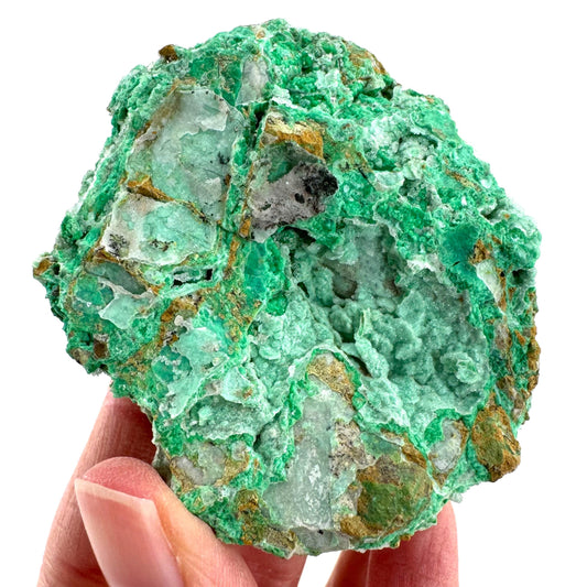Mint Chrysoprase | Druzy Crystal, mineral specimen from Indonesia