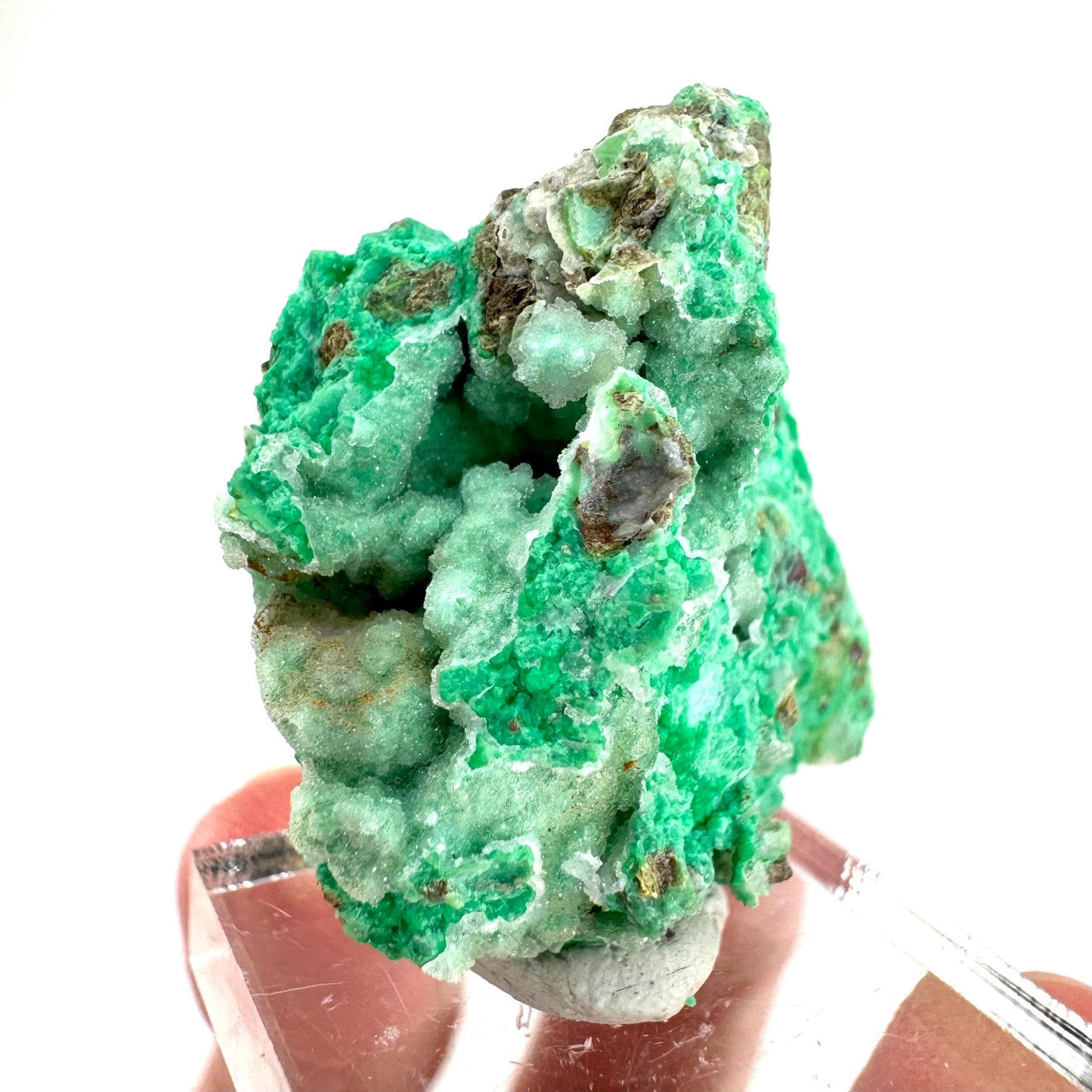 Mint Chrysoprase | Druzy Crystal, mineral specimen from Indonesia
