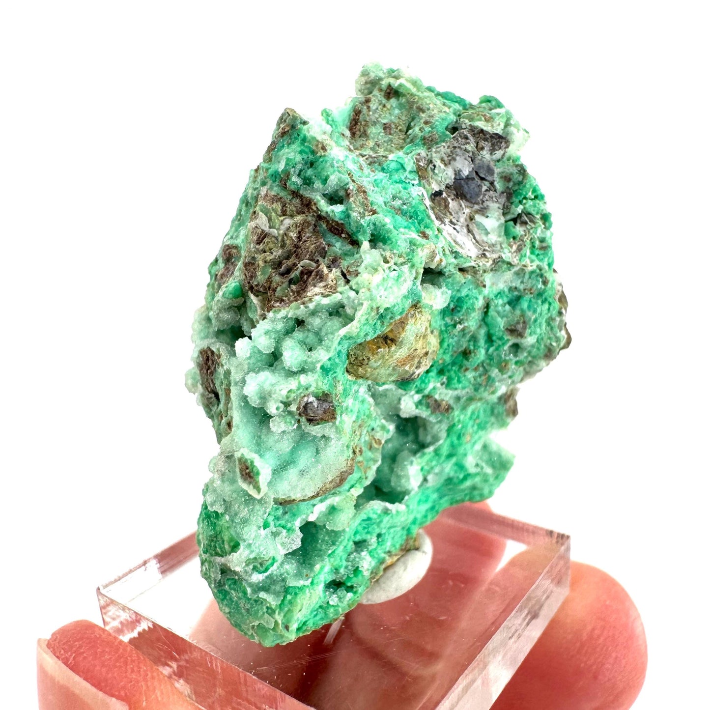 Mint Chrysoprase | Druzy Crystal, mineral specimen from Indonesia