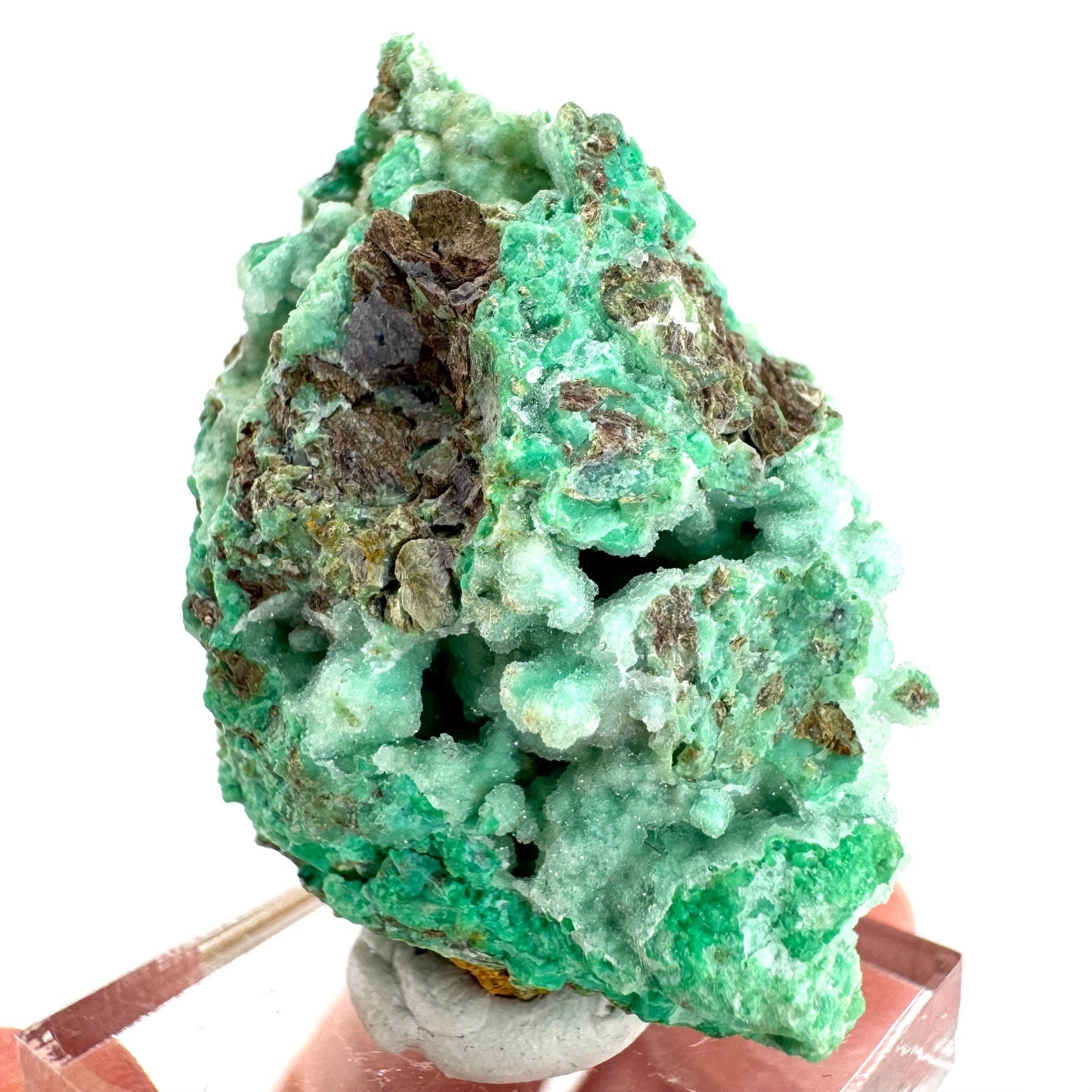 Mint Chrysoprase | Druzy Crystal, mineral specimen from Indonesia