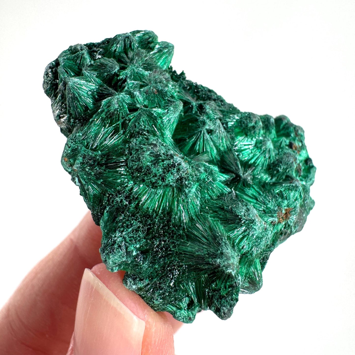 Fibrous Malachite | green velvet crystal, mineral specimen