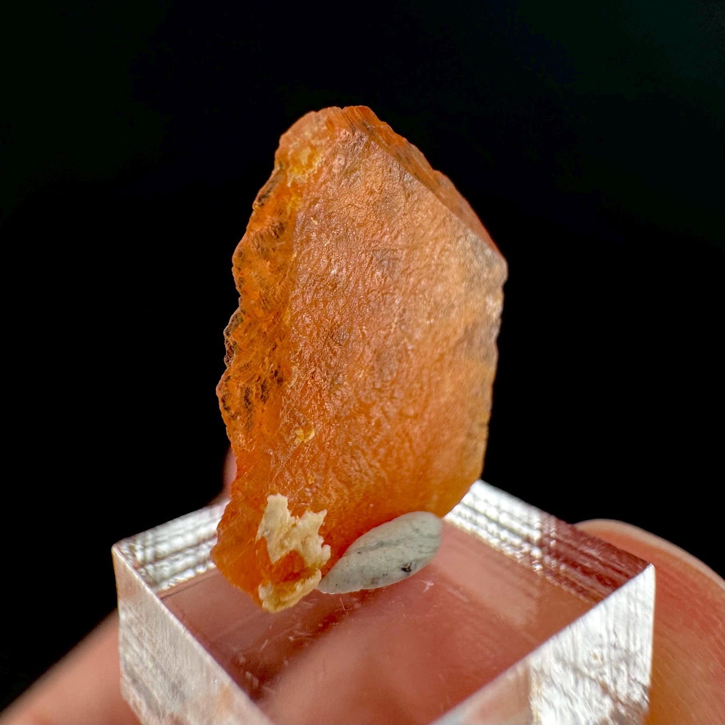 Rhodochrosite | pink crystal, mineral specimen from Pakistan