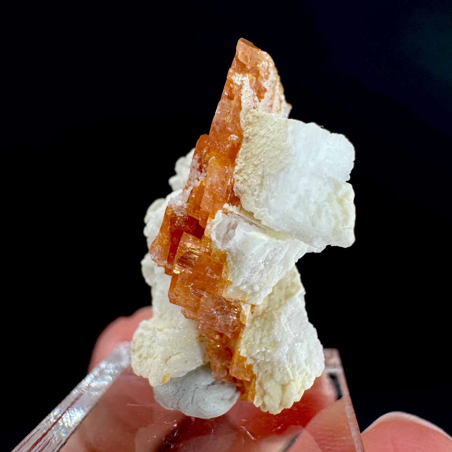 Rhodochrosite w/ Albite | pink crystal, mineral specimen from Pakistan