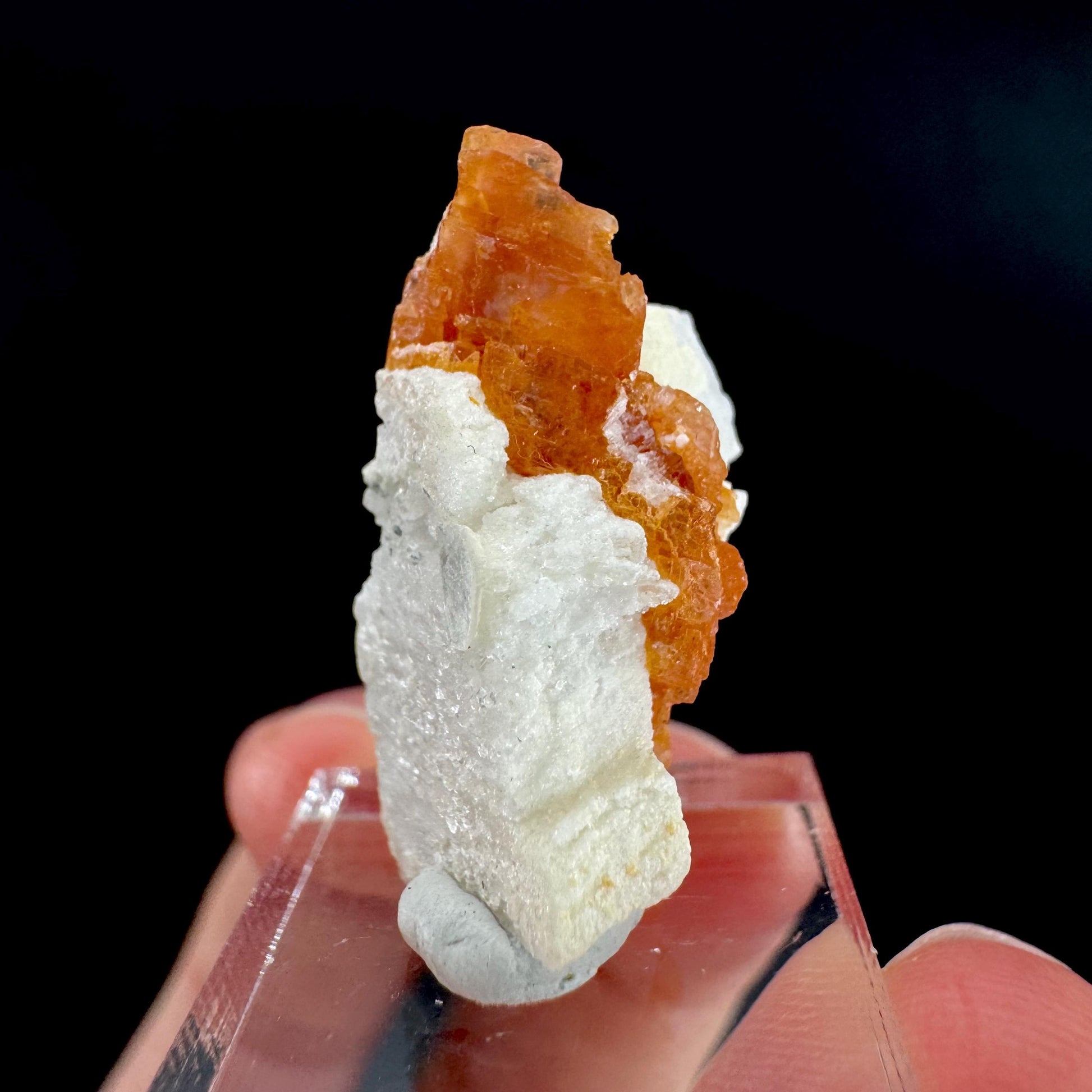 Rhodochrosite w/ Albite | pink crystal, mineral specimen from Pakistan