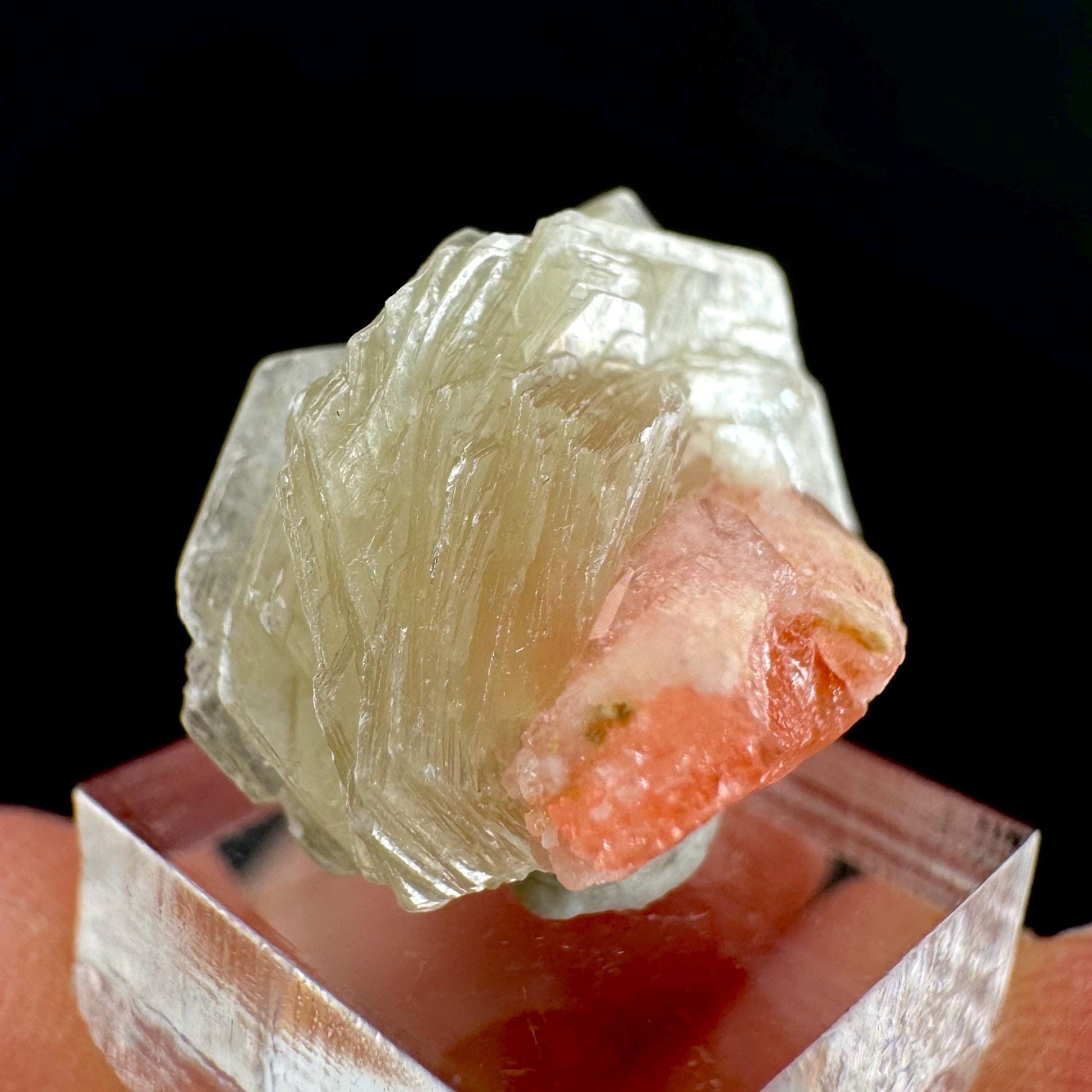 Rhodochrosite w/ Muscovite | pink crystal, mineral specimen from Pakistan