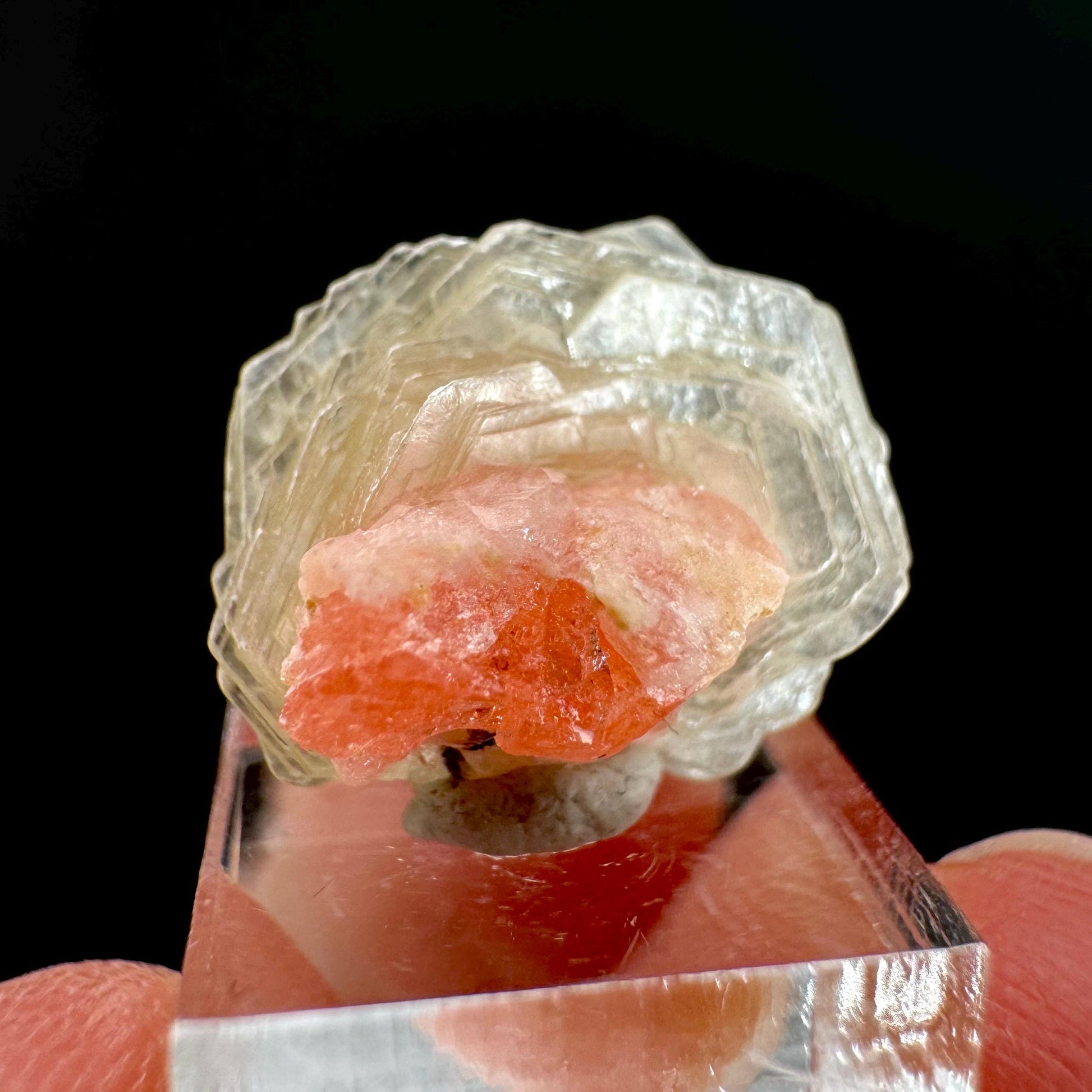 Rhodochrosite w/ Muscovite | pink crystal, mineral specimen from Pakistan