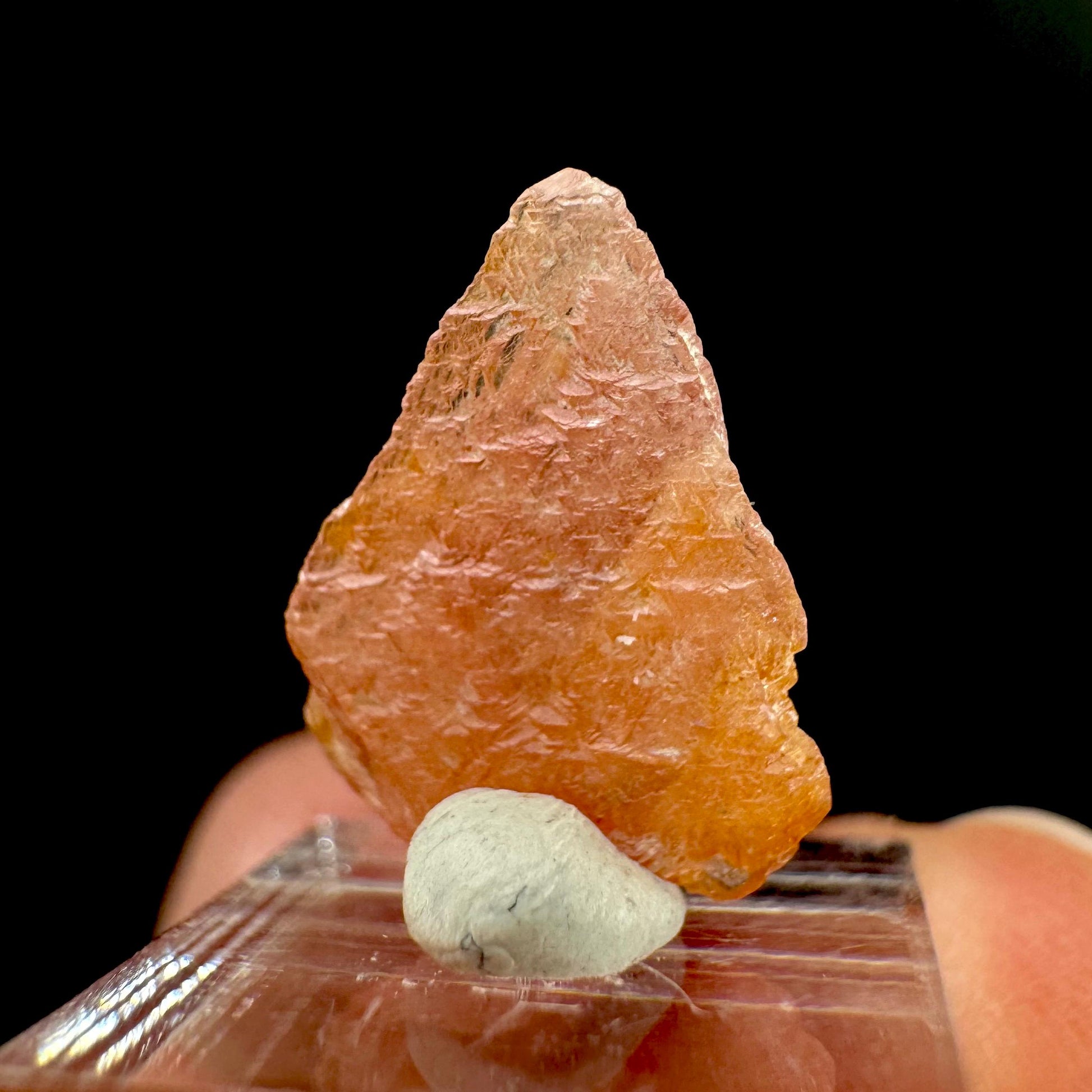 Rhodochrosite | pink crystal, mineral specimen from Pakistan