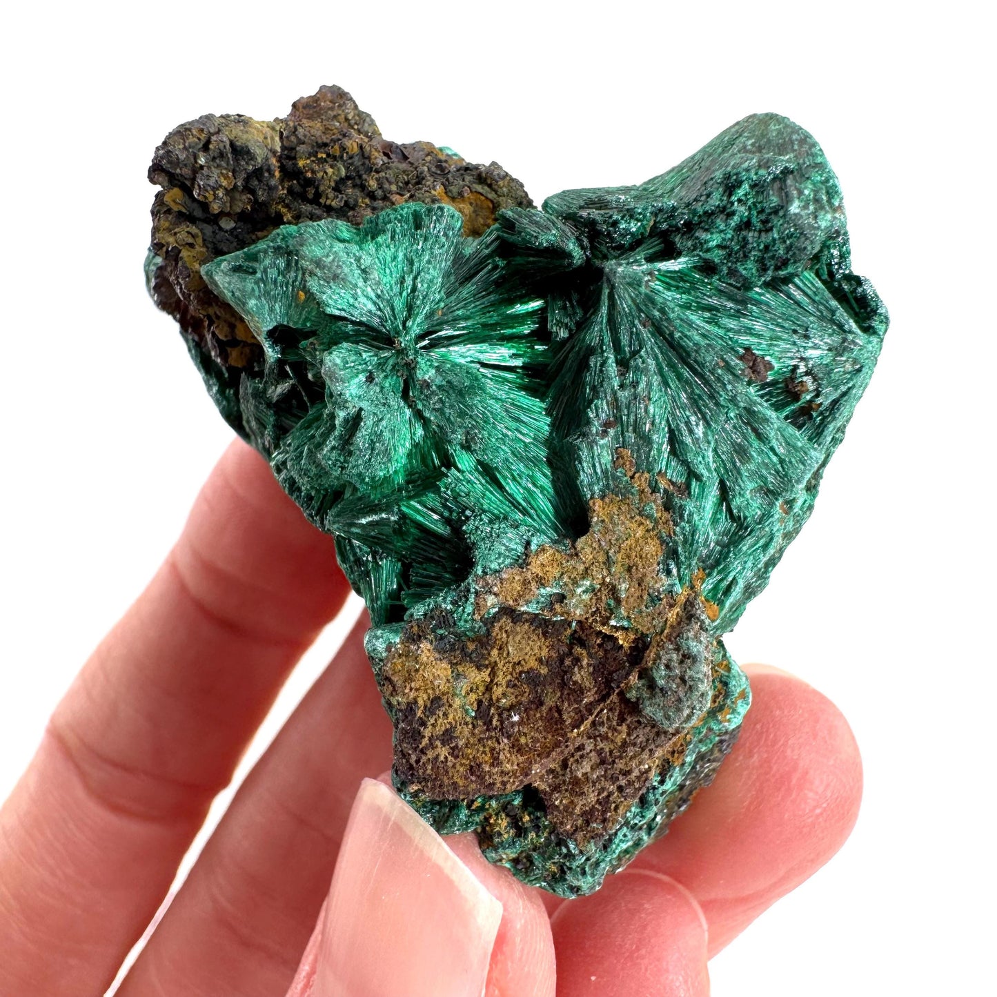 Fibrous Malachite | green velvet crystal, mineral specimen