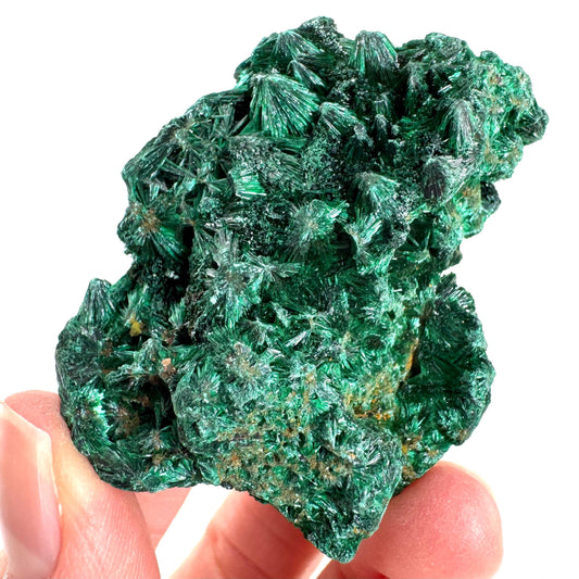 Fibrous Malachite | green velvet crystal, mineral specimen