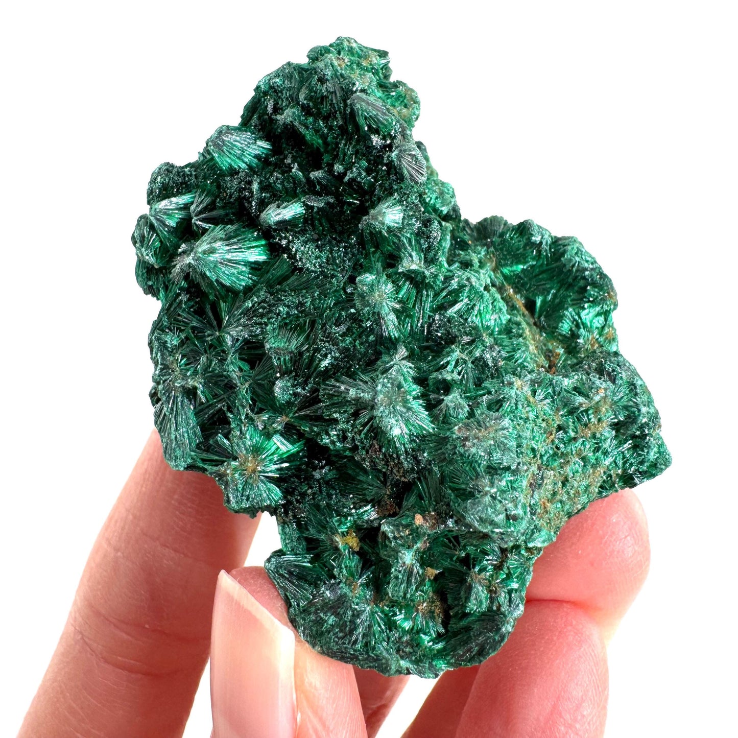 Fibrous Malachite | green velvet crystal, mineral specimen