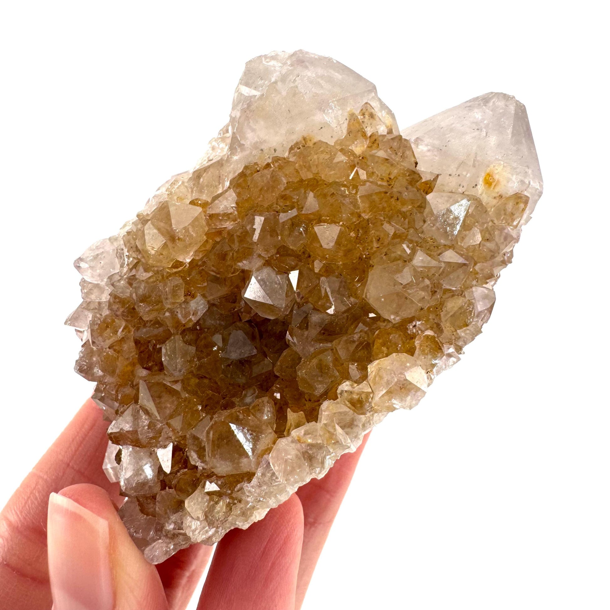 Spirit Quartz Cluster | Cactus Quartz Crystal from South Africa