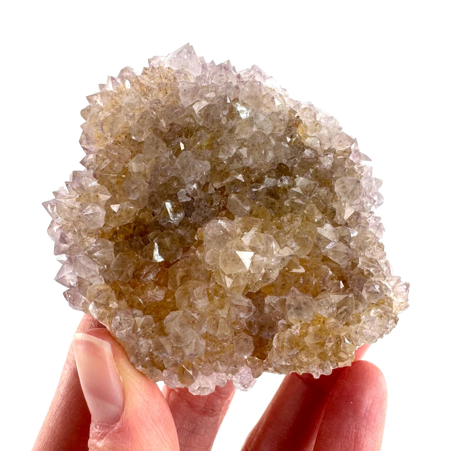 Spirit Quartz Cluster | Cactus Quartz Crystal from South Africa