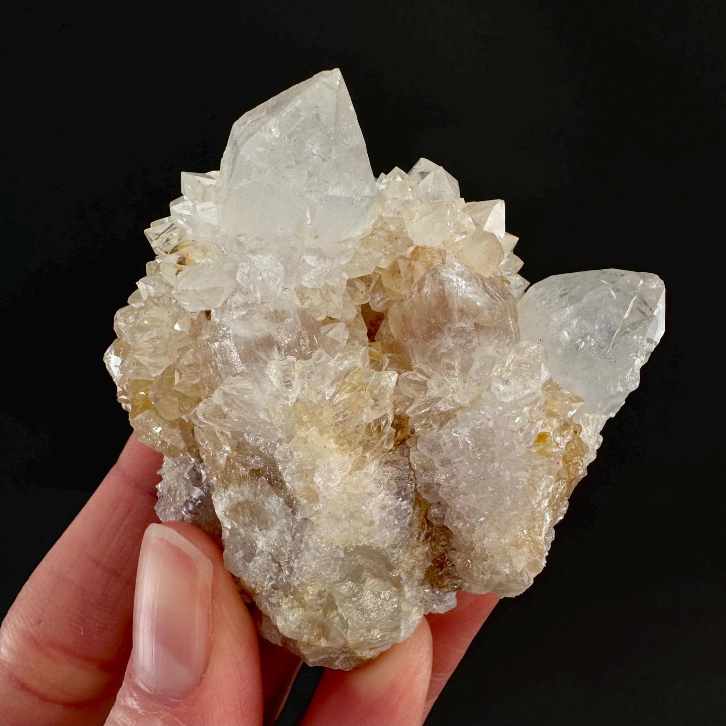 Spirit Quartz Cluster | Cactus Quartz Crystal from South Africa