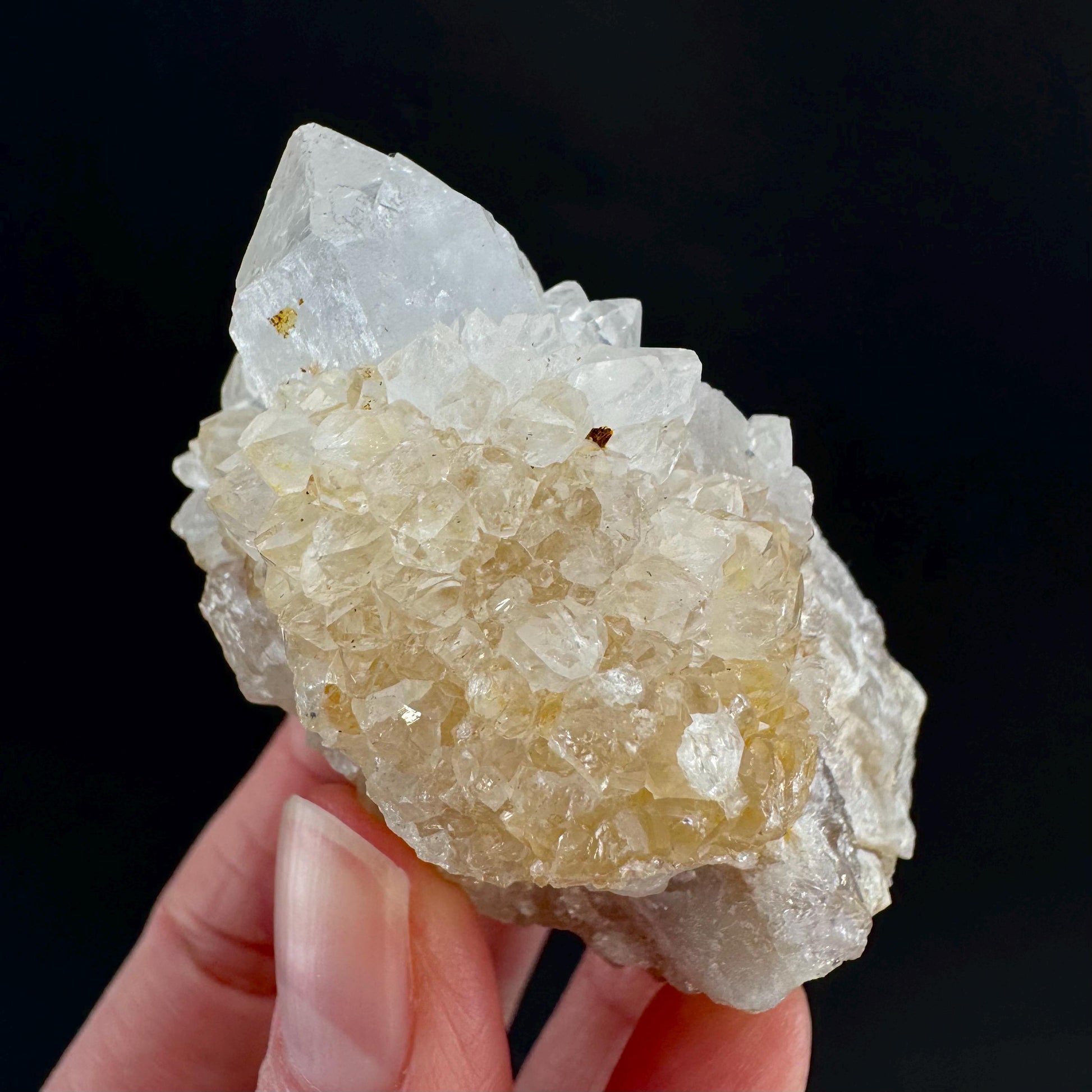 Spirit Quartz Cluster | Cactus Quartz Crystal from South Africa