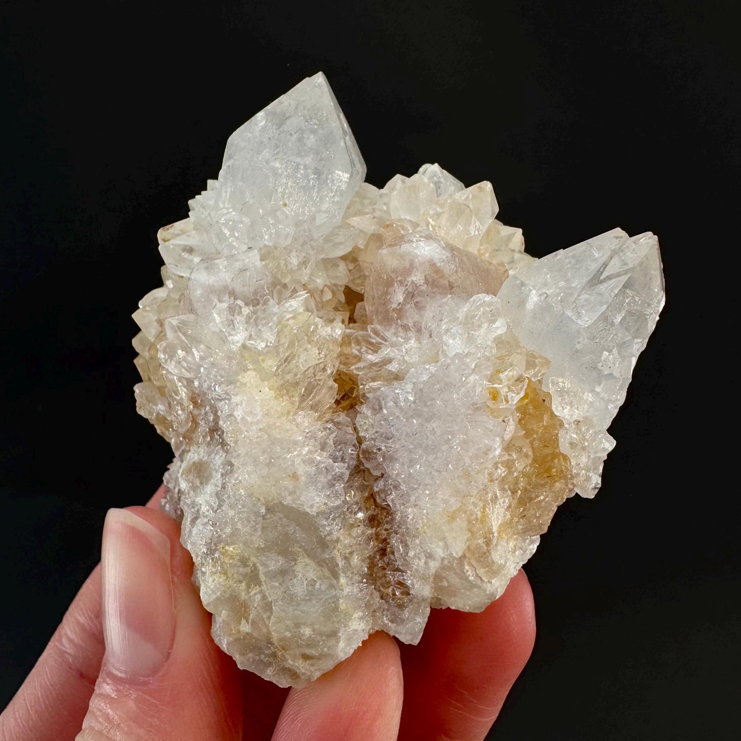 Spirit Quartz Cluster | Cactus Quartz Crystal from South Africa
