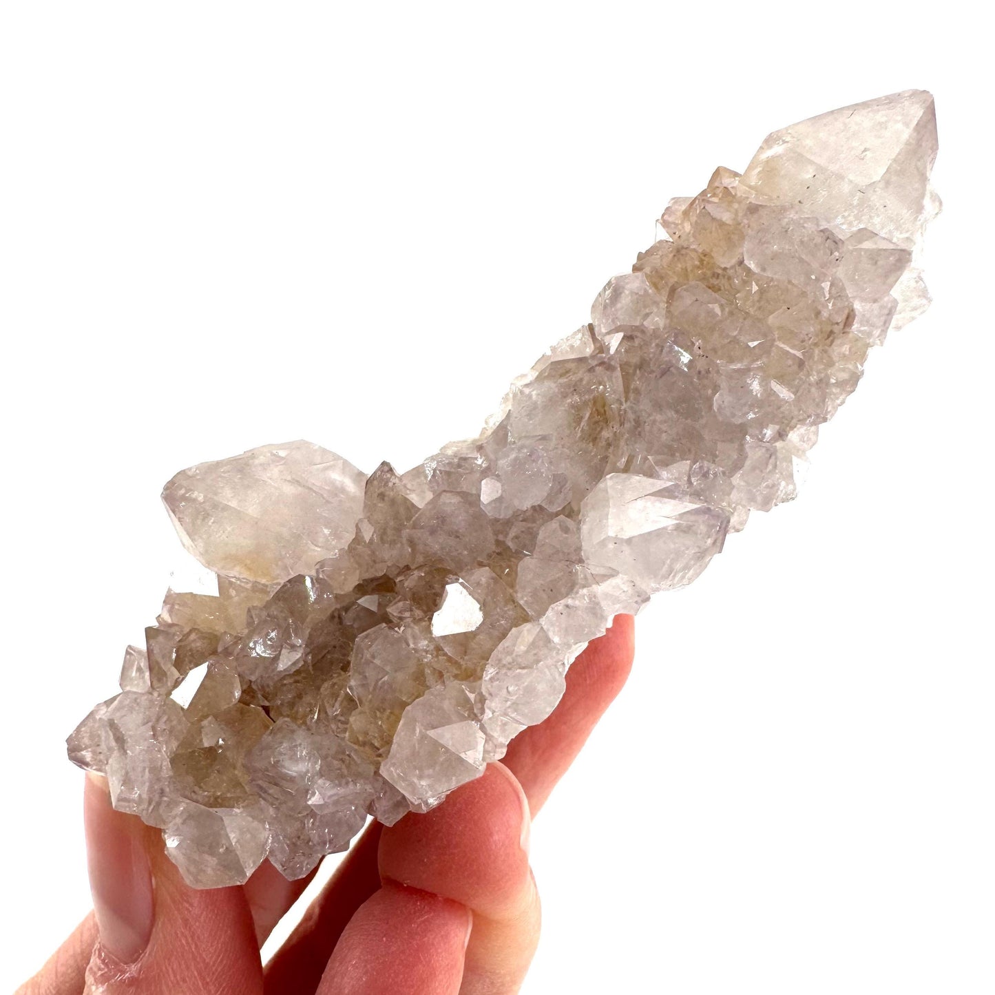 Spirit Quartz Cluster | Cactus Quartz Crystal from South Africa