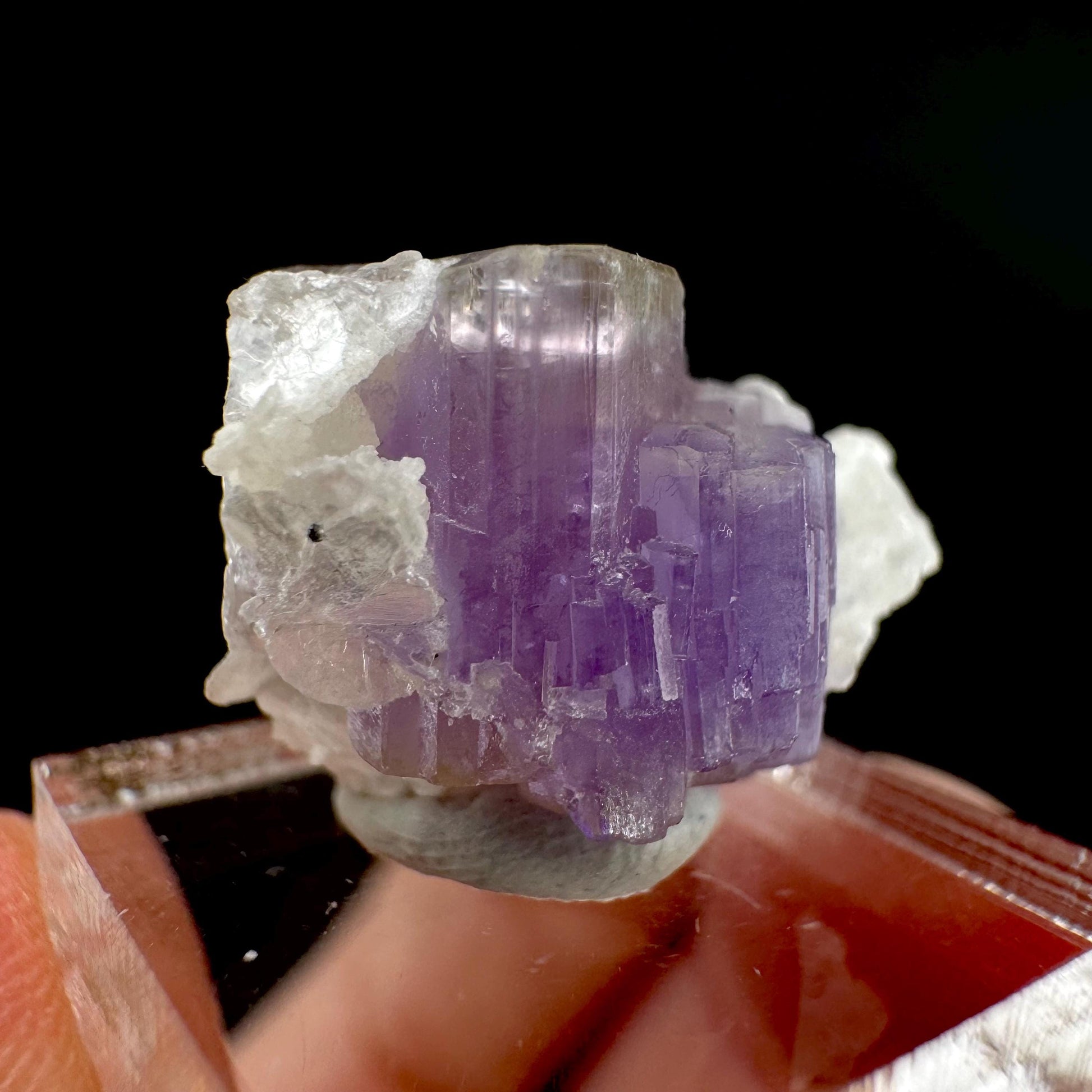 Purple Fluorapatite on Albite | natural crystal, rare mineral specimen from Afghanistan