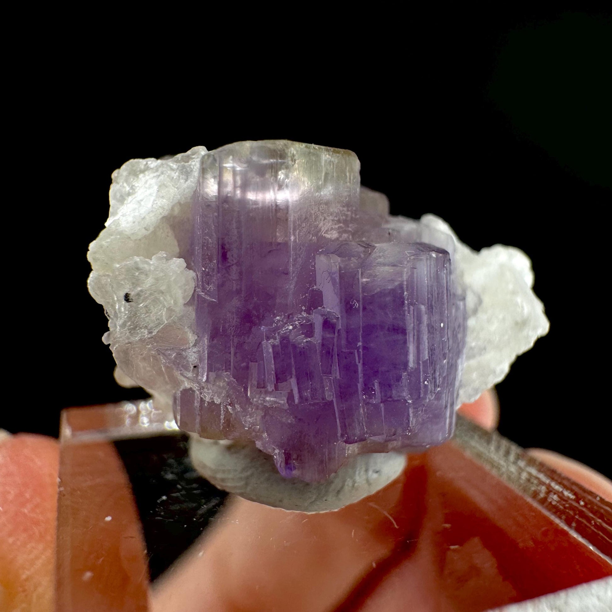 Purple Fluorapatite on Albite | natural crystal, rare mineral specimen from Afghanistan