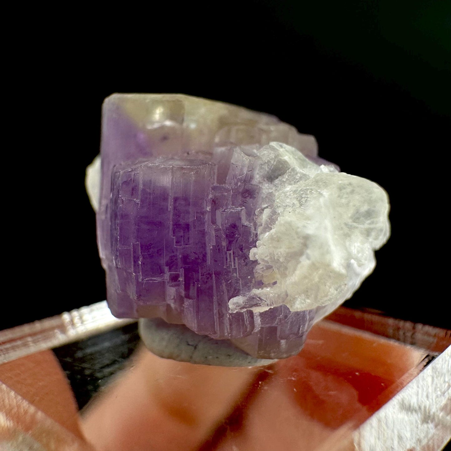 Purple Fluorapatite on Albite | natural crystal, rare mineral specimen from Afghanistan