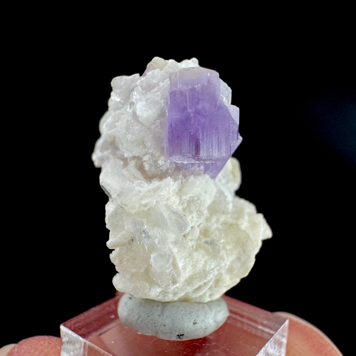 Purple Fluorapatite on Albite | natural crystal, rare mineral specimen from Afghanistan