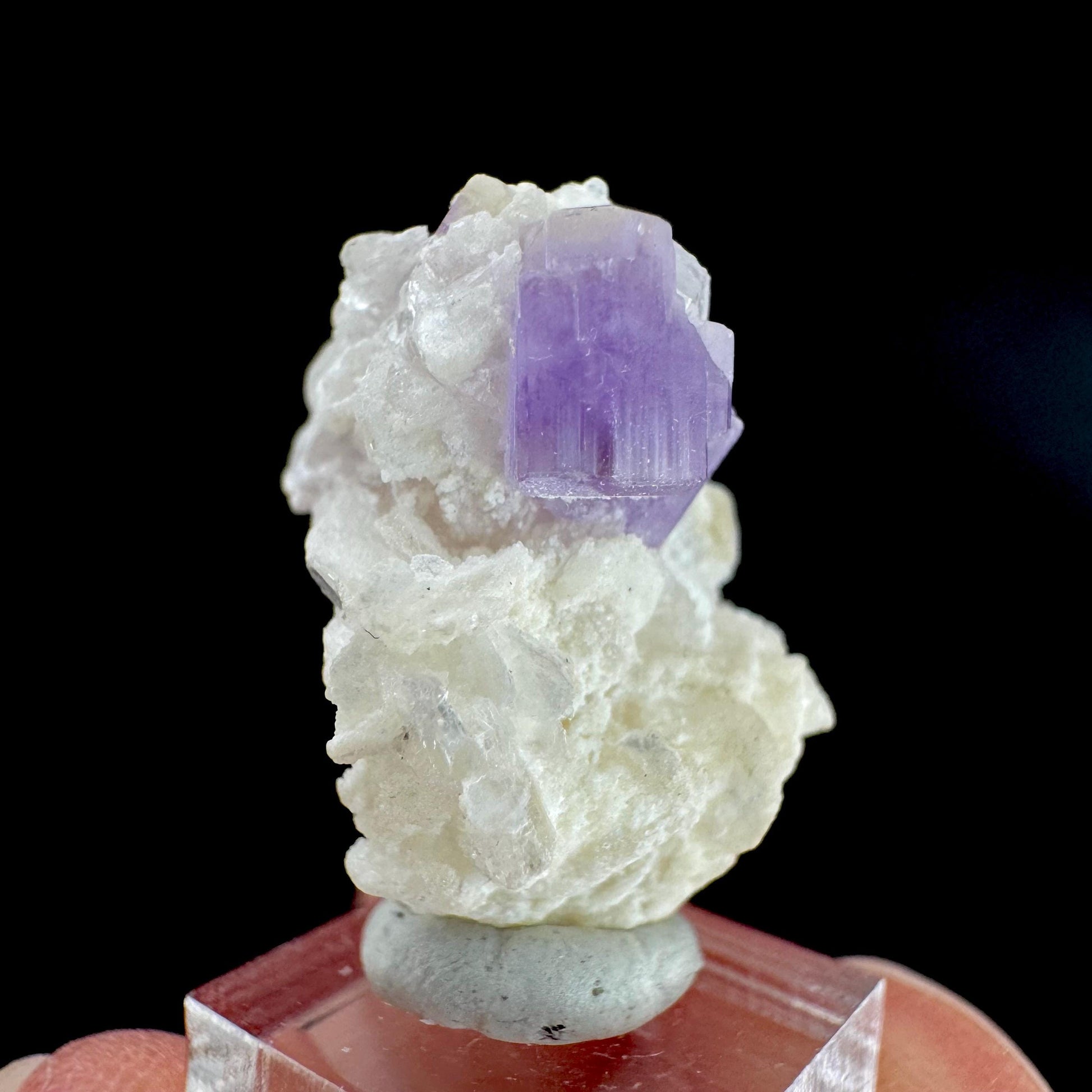 Purple Fluorapatite on Albite | natural crystal, rare mineral specimen from Afghanistan