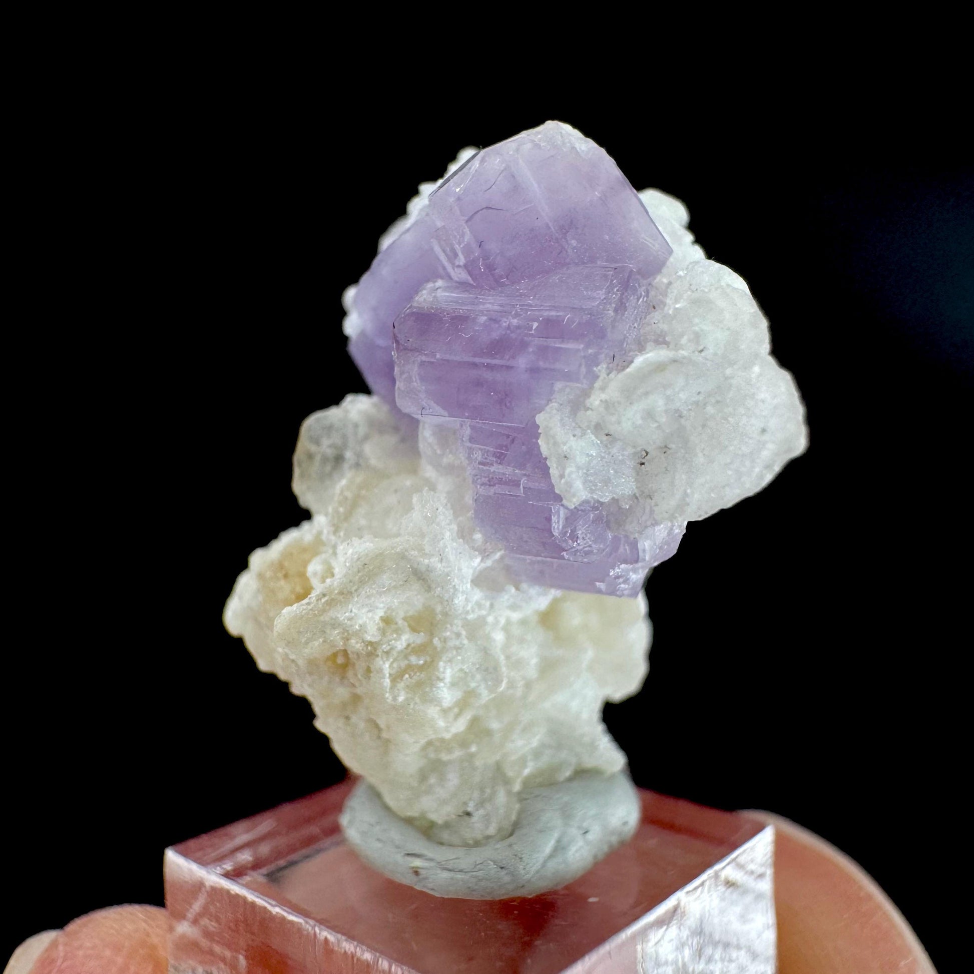 Purple Fluorapatite on Albite | natural crystal, rare mineral specimen from Afghanistan