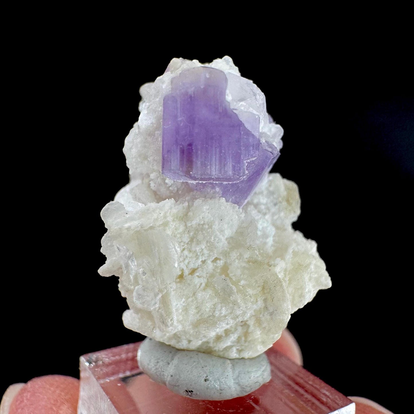 Purple Fluorapatite on Albite | natural crystal, rare mineral specimen from Afghanistan
