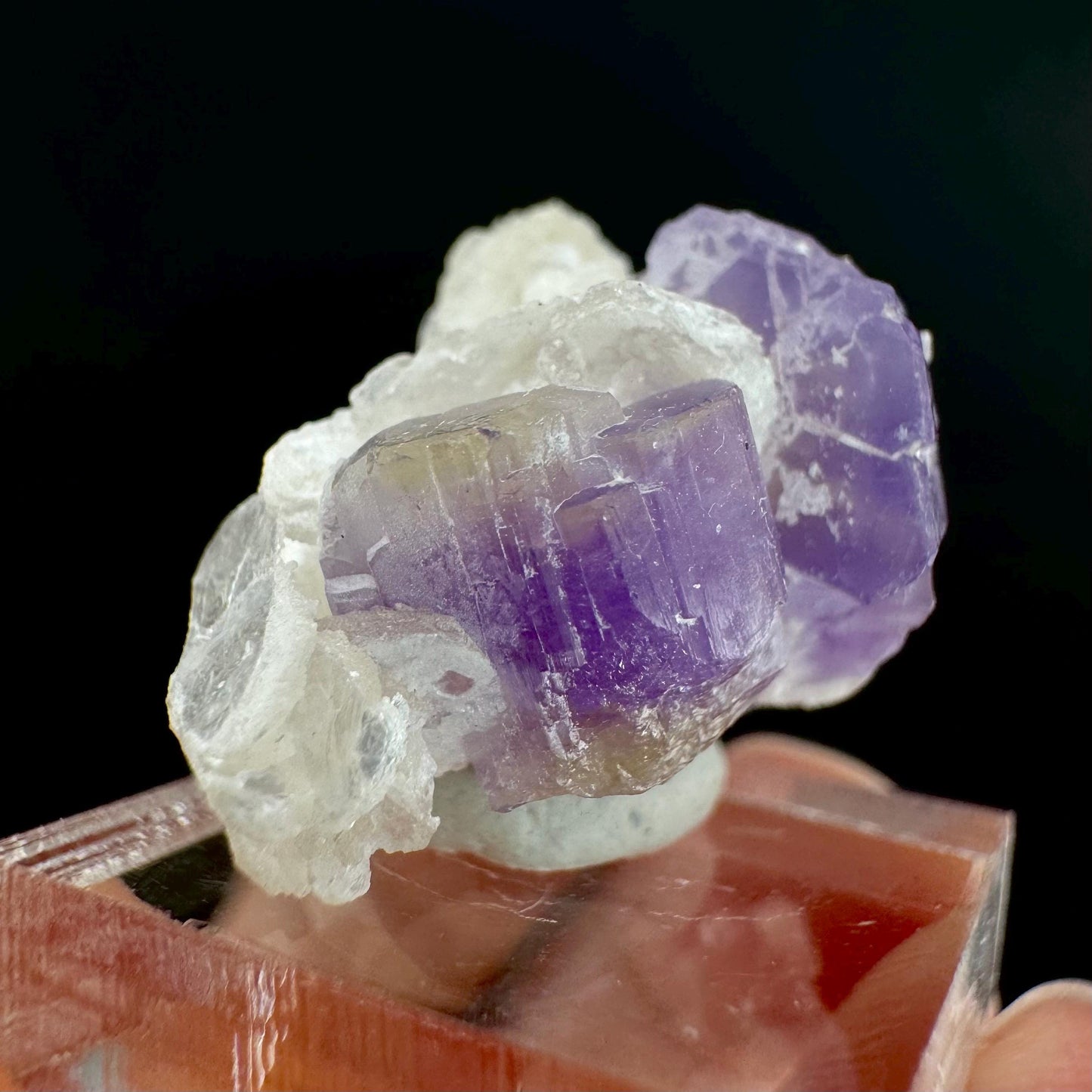 Purple Fluorapatite on Albite | natural crystal, rare mineral specimen from Afghanistan