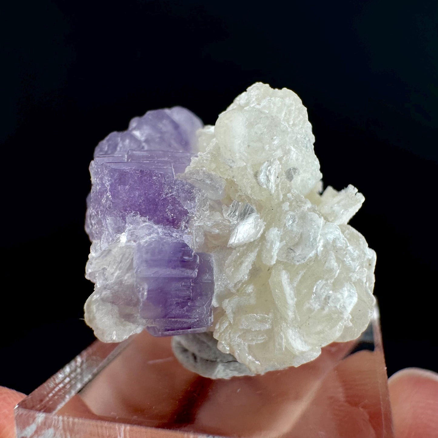 Purple Fluorapatite on Albite | natural crystal, rare mineral specimen from Afghanistan