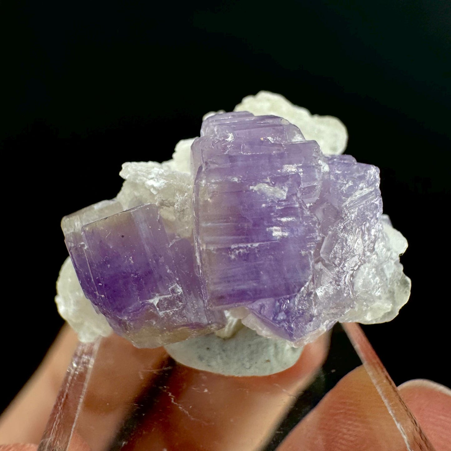 Purple Fluorapatite on Albite | natural crystal, rare mineral specimen from Afghanistan