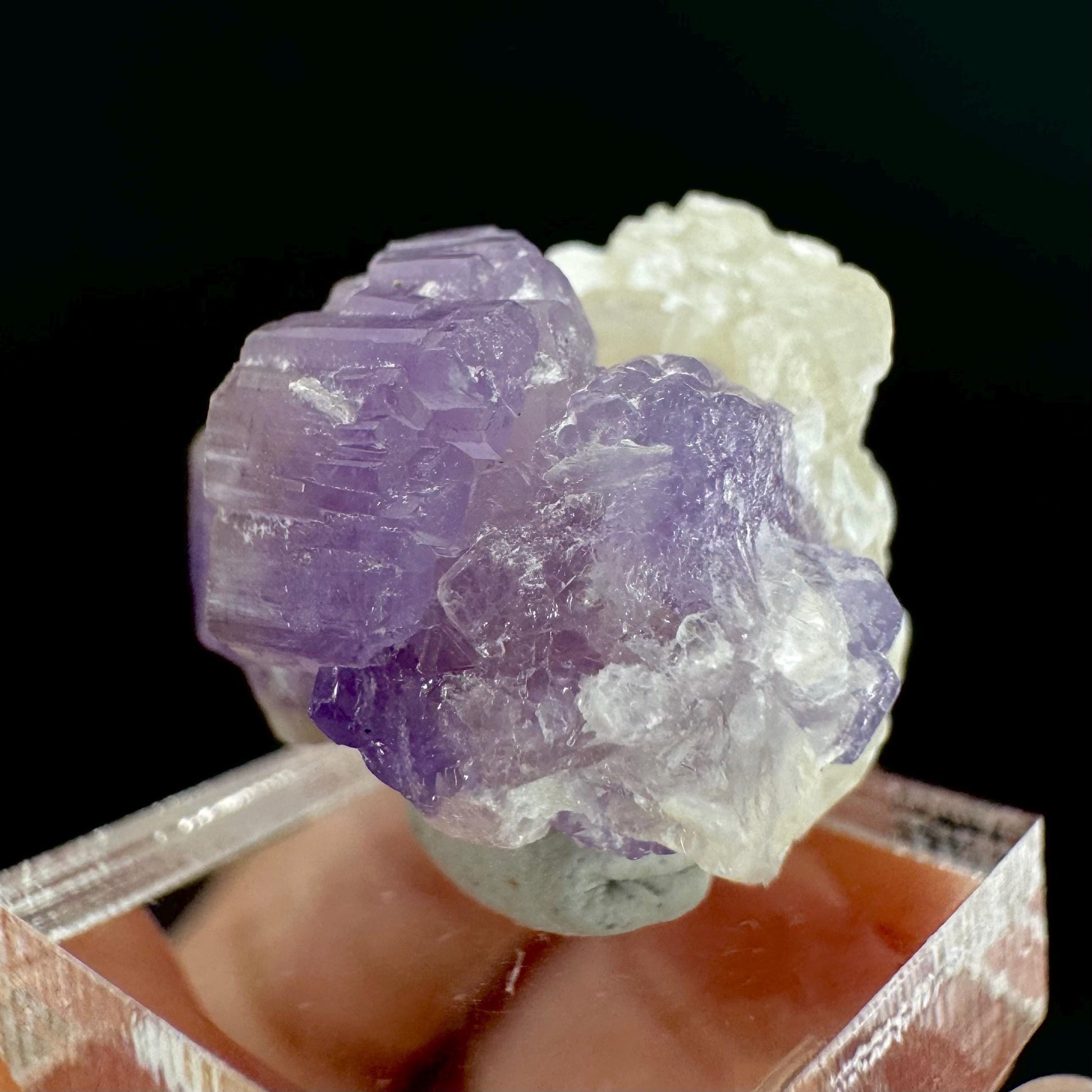 Purple Fluorapatite on Albite | natural crystal, rare mineral specimen from Afghanistan