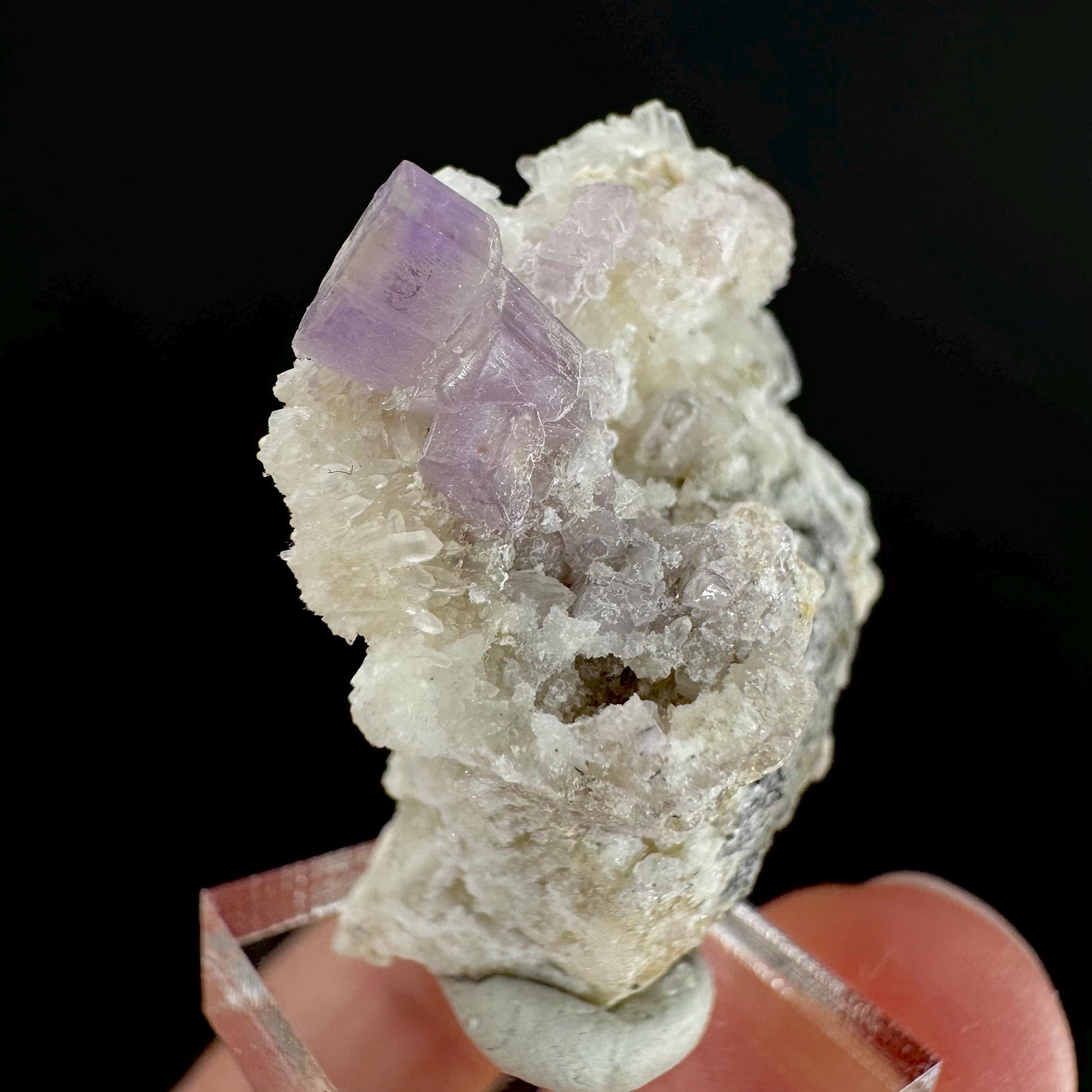Purple Fluorapatite on Albite | natural crystal, rare mineral specimen from Afghanistan