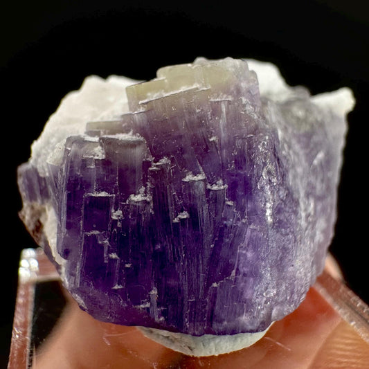 Purple Fluorapatite on Albite | natural crystal, rare mineral specimen from Afghanistan