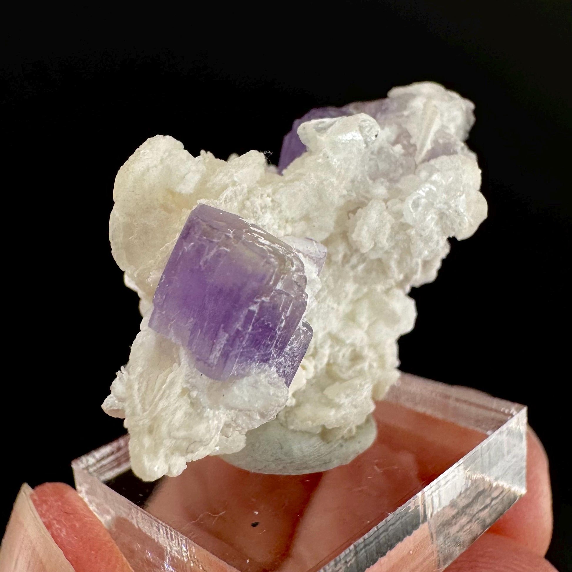 Purple Fluorapatite on Albite | natural crystal, rare mineral specimen from Afghanistan