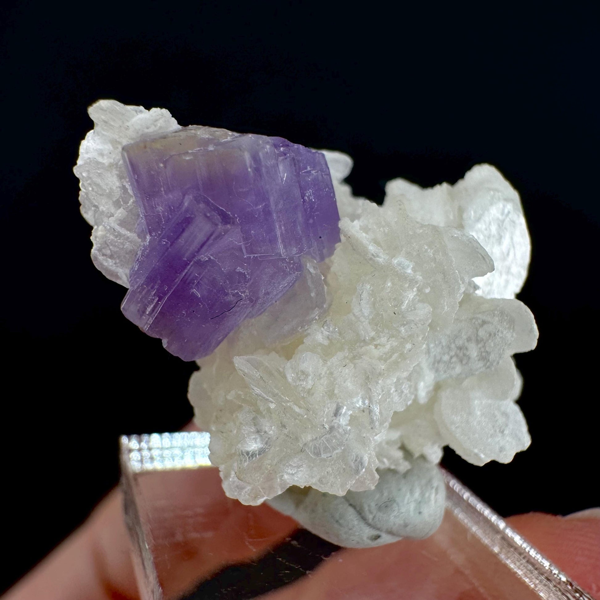 Purple Fluorapatite on Albite | natural crystal, rare mineral specimen from Afghanistan
