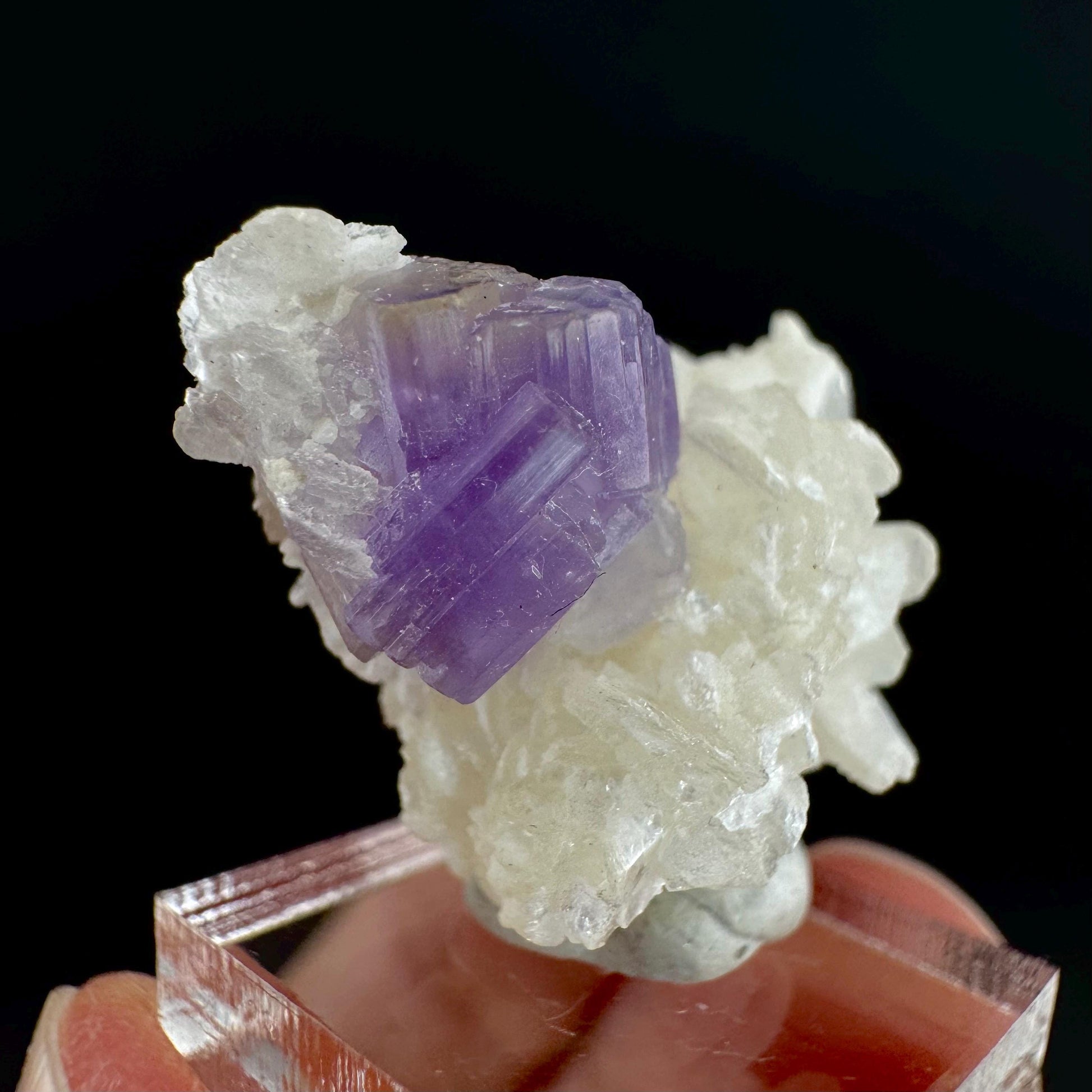 Purple Fluorapatite on Albite | natural crystal, rare mineral specimen from Afghanistan