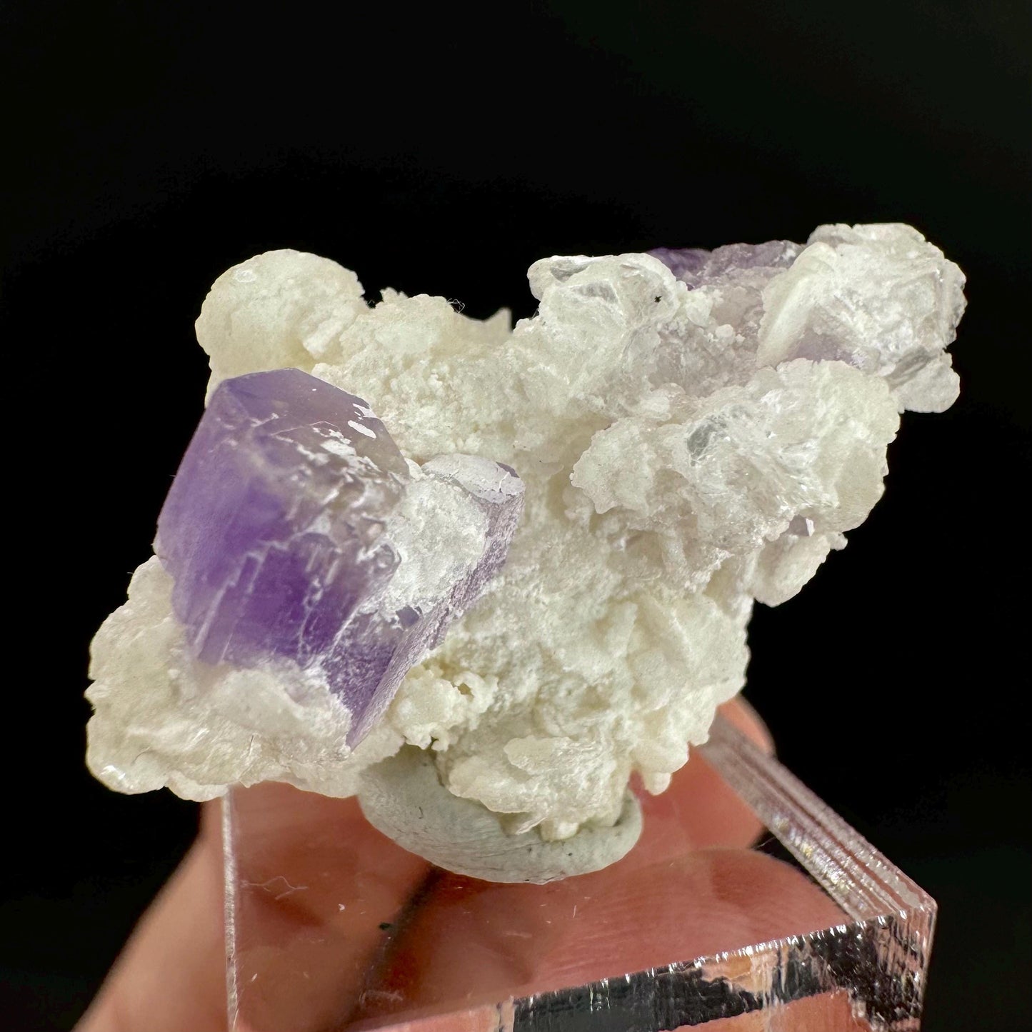 Purple Fluorapatite on Albite | natural crystal, rare mineral specimen from Afghanistan