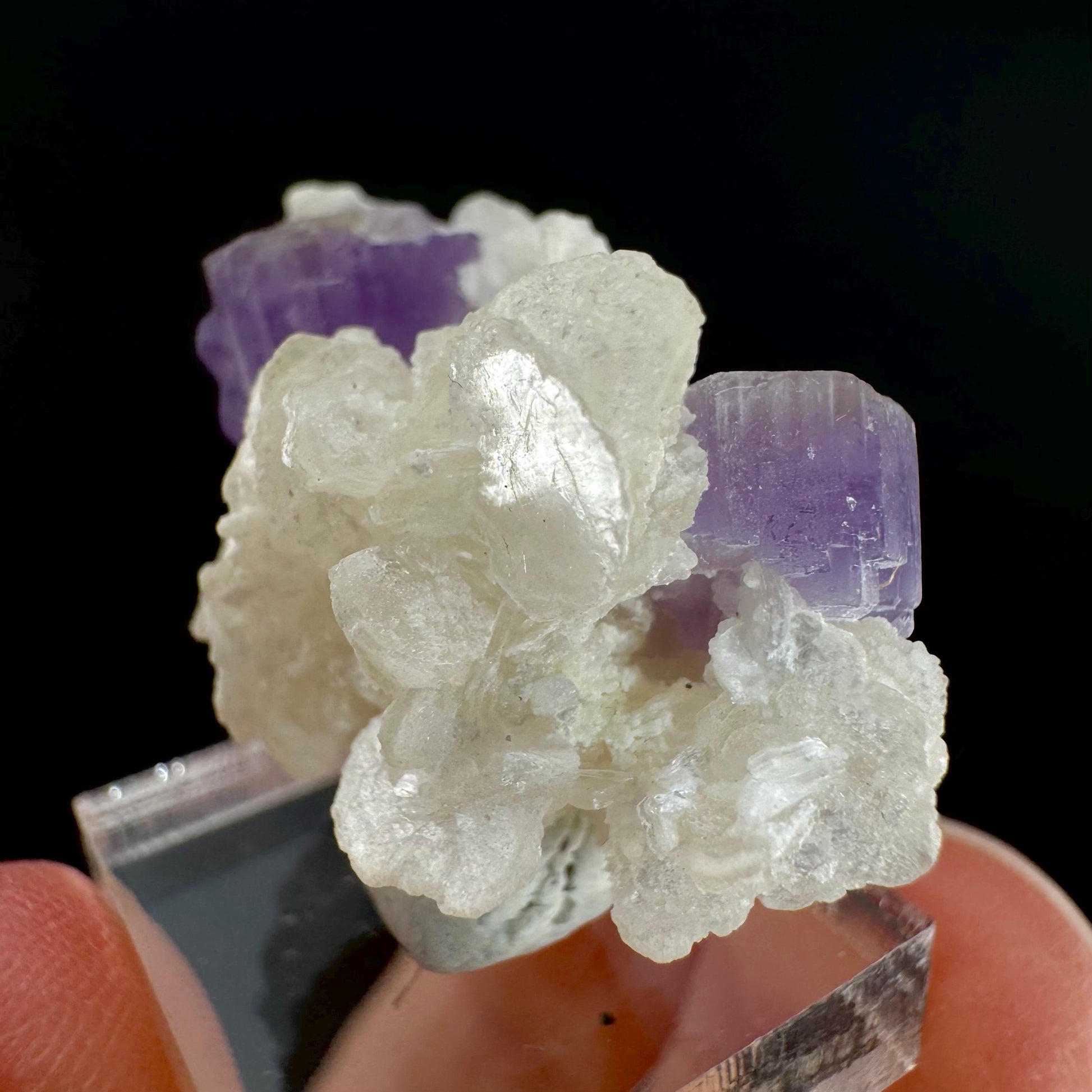 Purple Fluorapatite on Albite | natural crystal, rare mineral specimen from Afghanistan