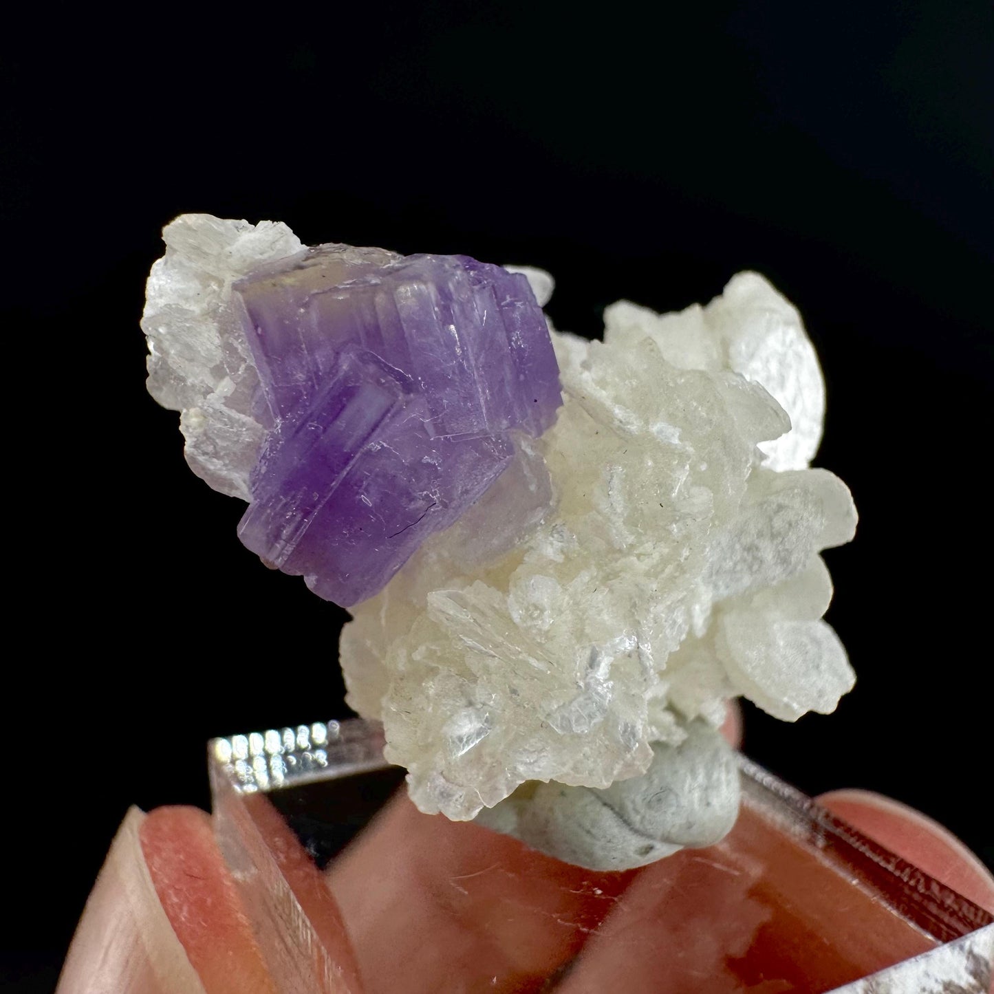 Purple Fluorapatite on Albite | natural crystal, rare mineral specimen from Afghanistan