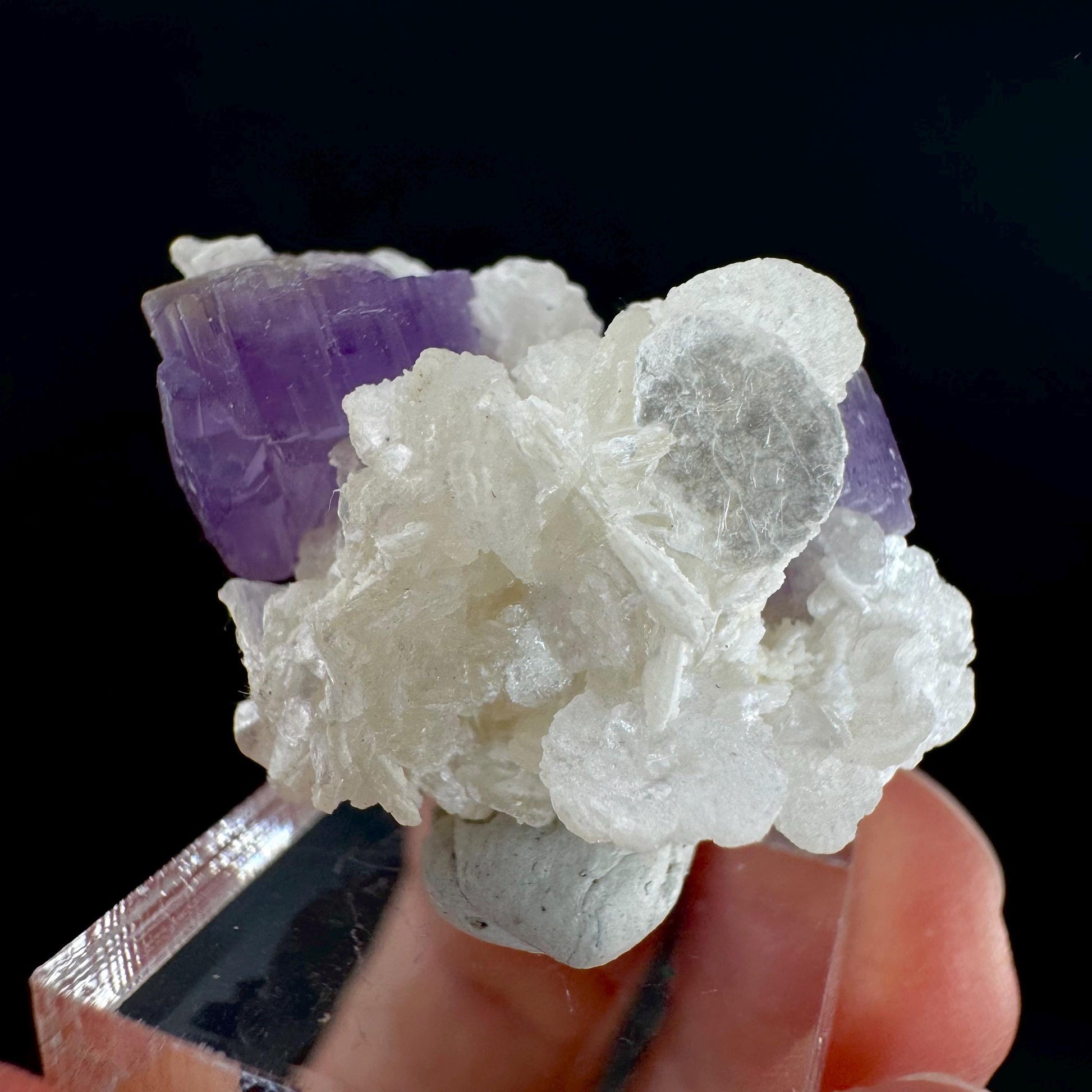 Purple Fluorapatite on Albite | natural crystal, rare mineral specimen from Afghanistan
