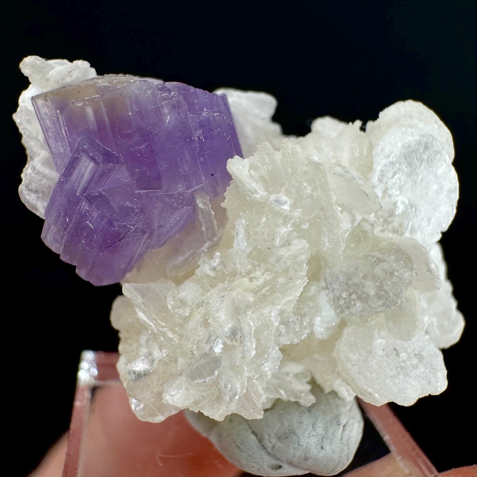Purple Fluorapatite on Albite | natural crystal, rare mineral specimen from Afghanistan