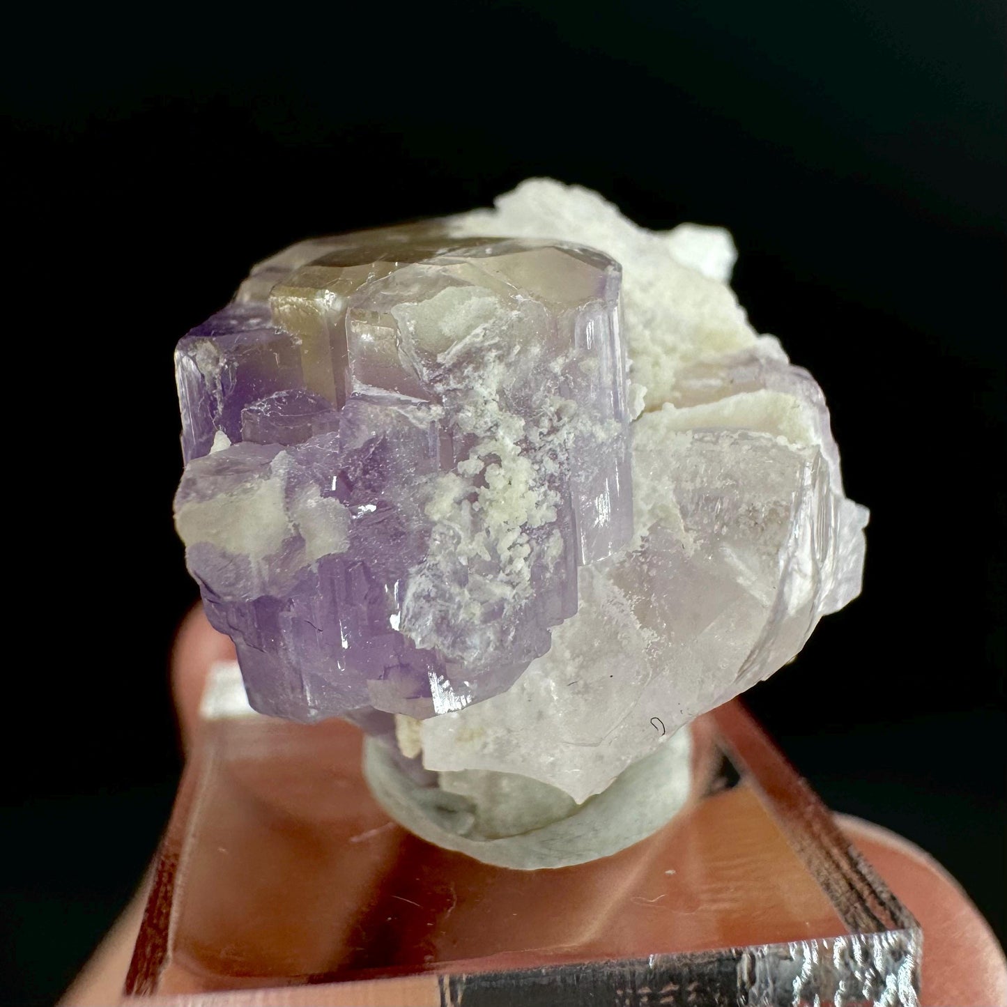 Purple Fluorapatite on Albite | natural crystal, rare mineral specimen from Afghanistan