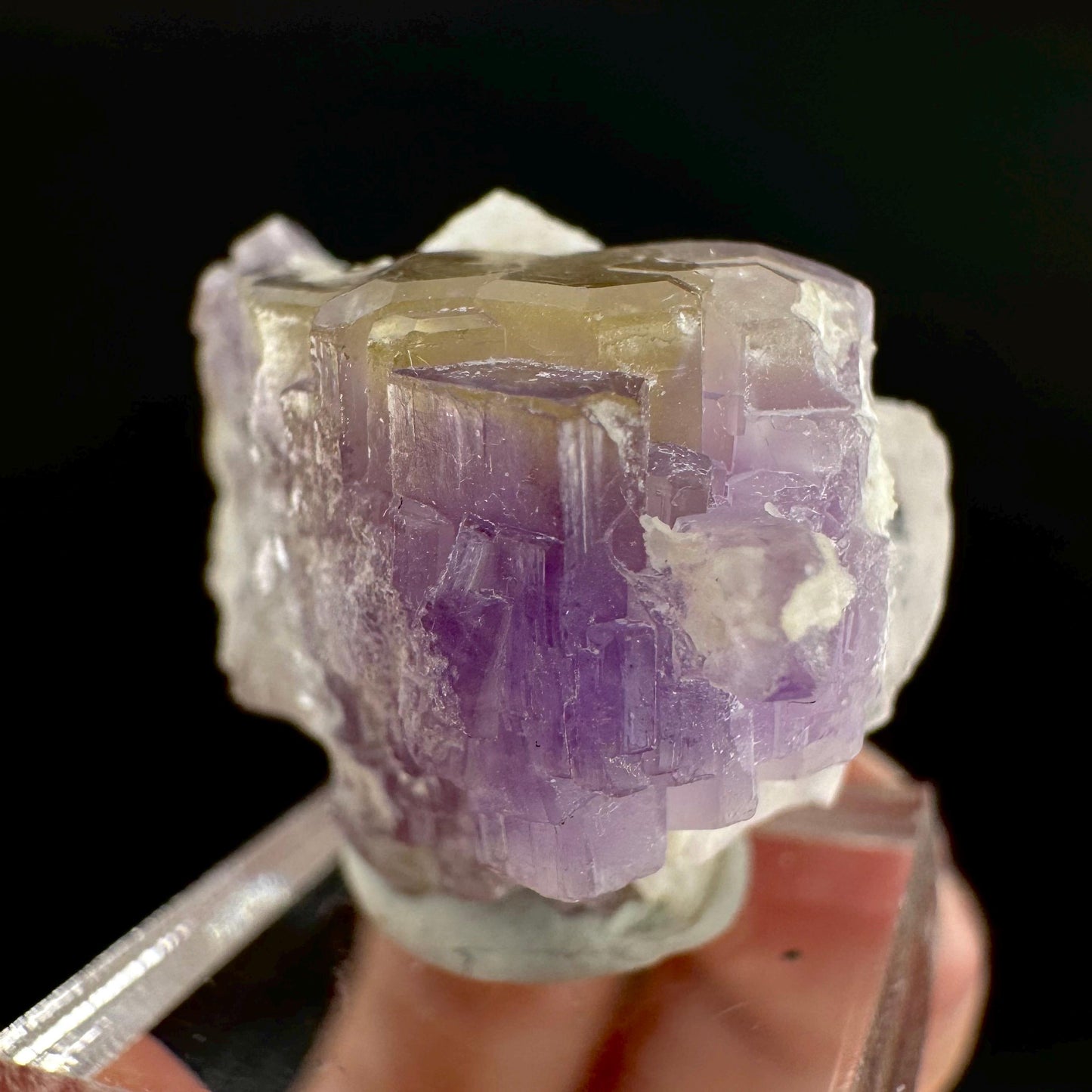 Purple Fluorapatite on Albite | natural crystal, rare mineral specimen from Afghanistan
