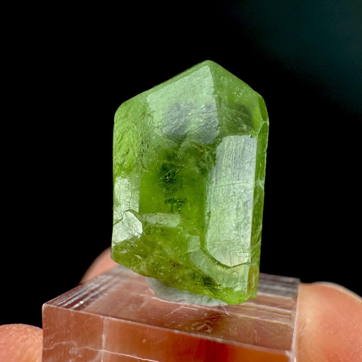 Peridot | natural terminated crystal, mineral specimen from Pakistan