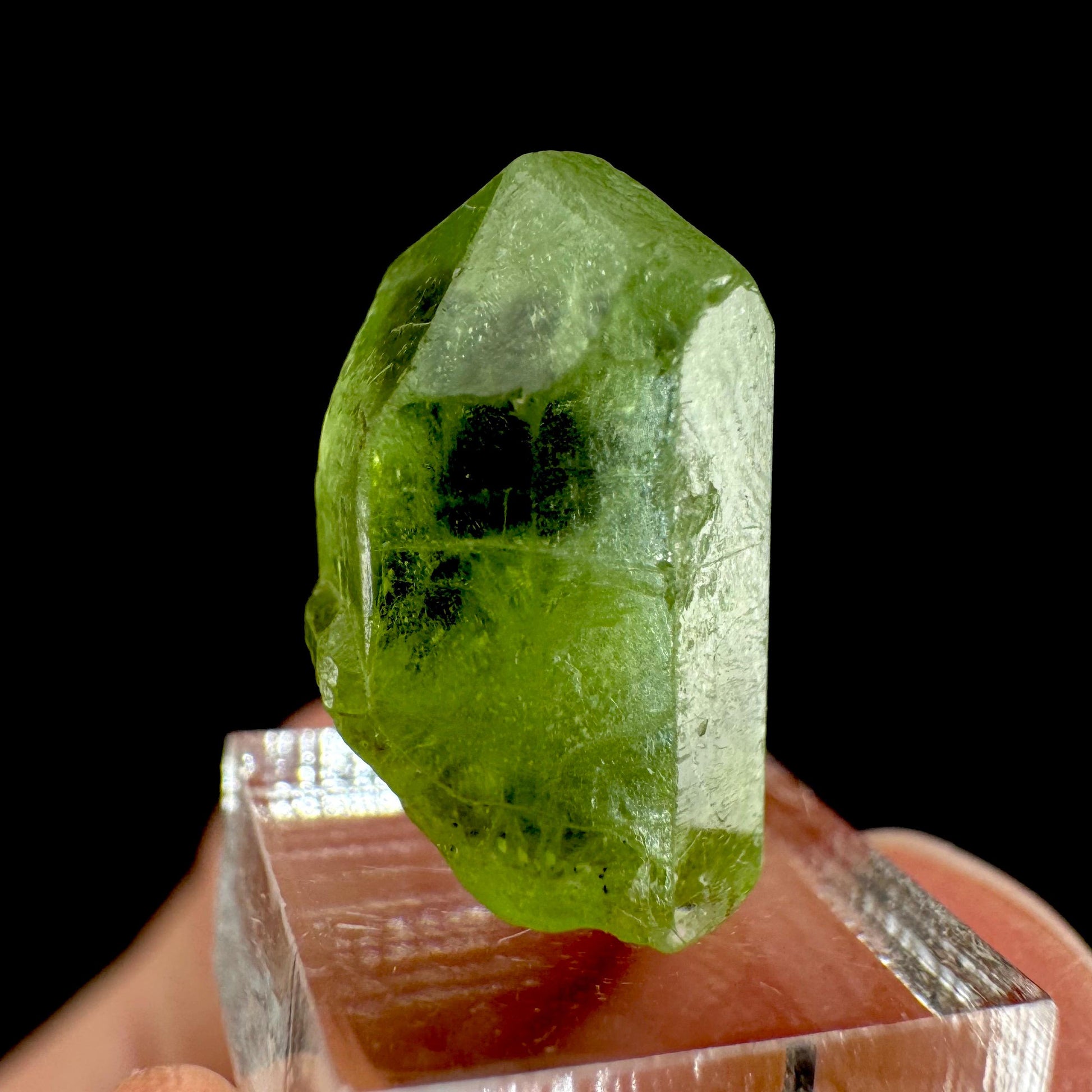 Peridot | natural terminated crystal, mineral specimen from Pakistan