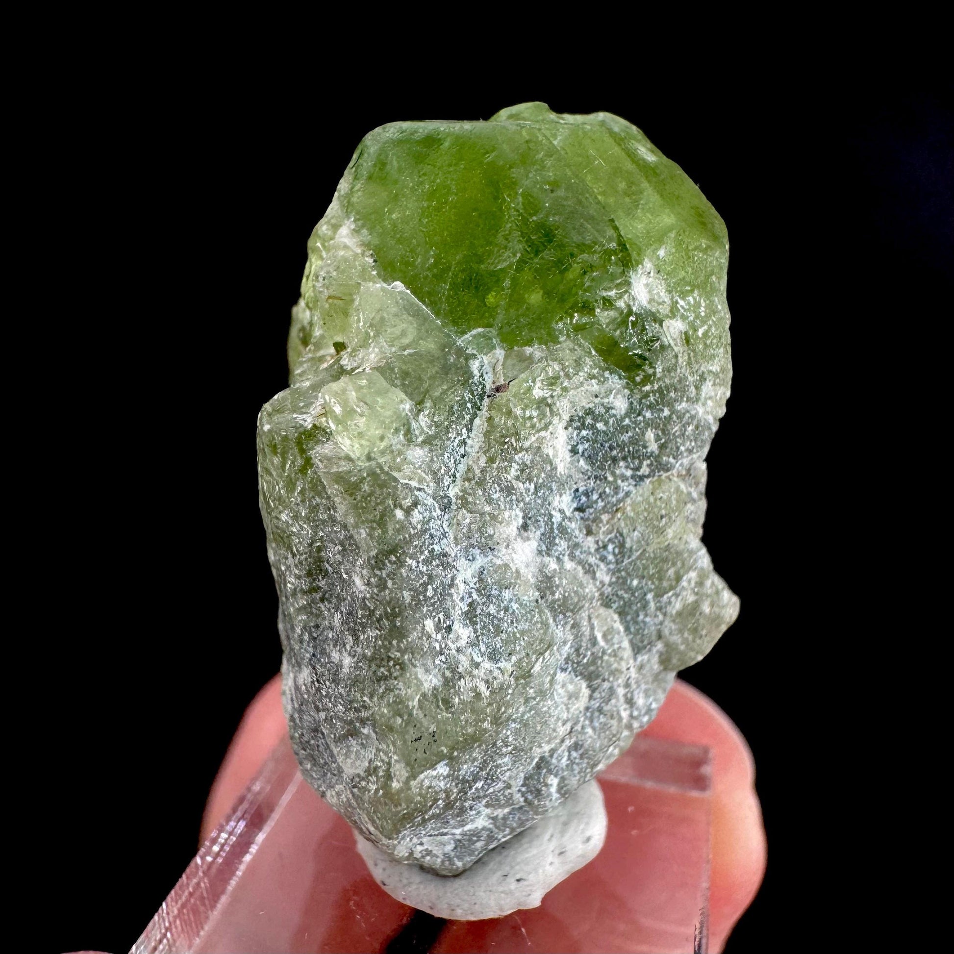 Peridot | natural terminated crystal, mineral specimen from Pakistan