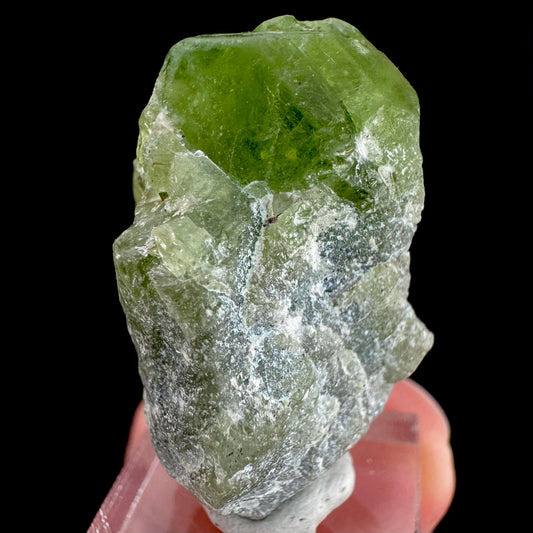 Peridot | natural terminated crystal, mineral specimen from Pakistan