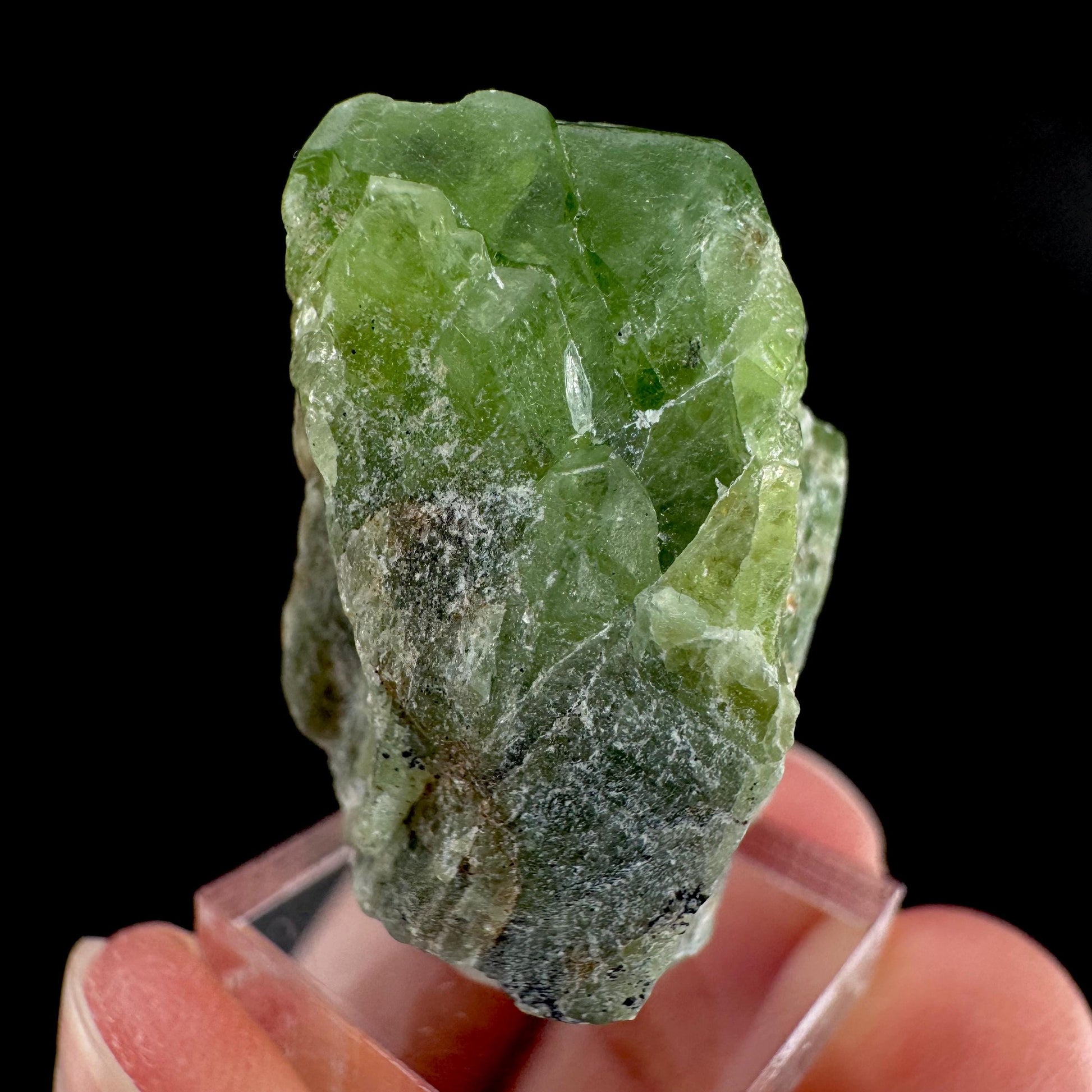 Peridot | natural terminated crystal, mineral specimen from Pakistan