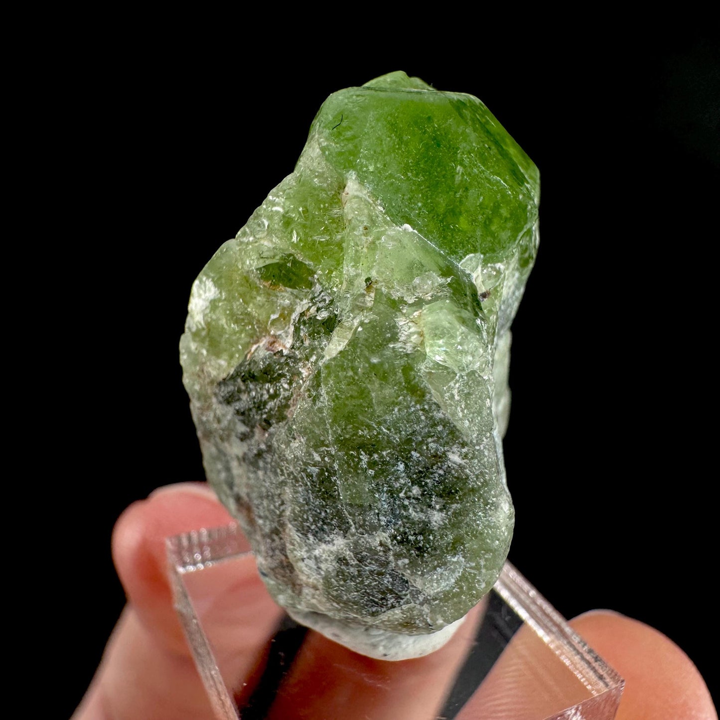 Peridot | natural terminated crystal, mineral specimen from Pakistan